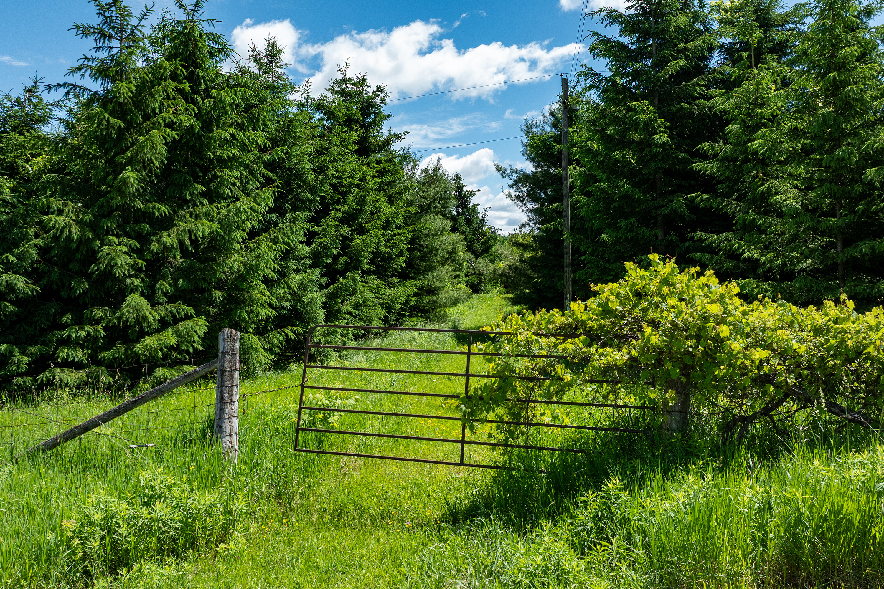  50 acre parcel in Mulmur ON - 物件實景