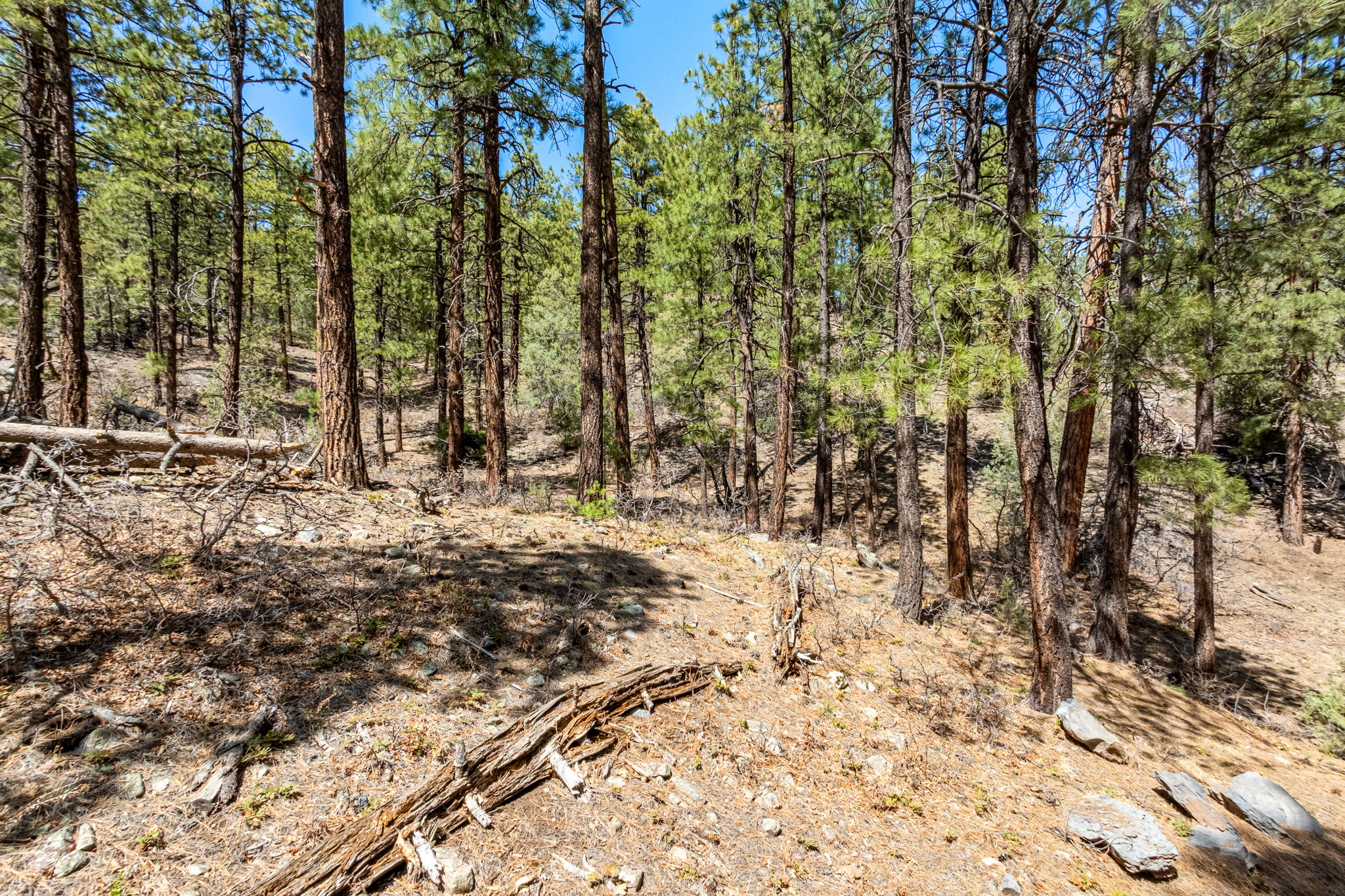  91 Ambush Canyon, Durango, CO 81301 - 物件實景