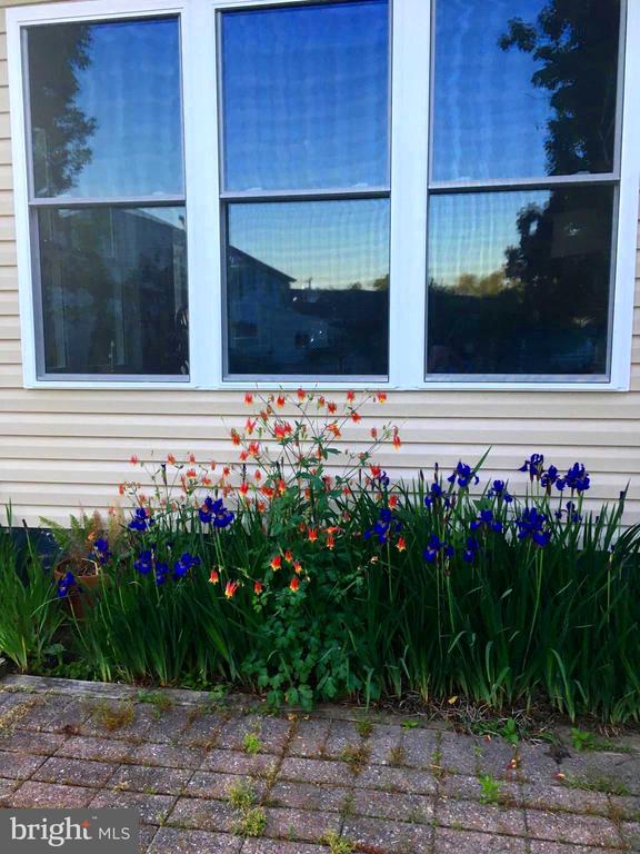 Bristol, Pennsylvania, 19007, United States, 3 Bedrooms Bedrooms, ,3 BathroomsBathrooms,Residential,For Sale,1941069