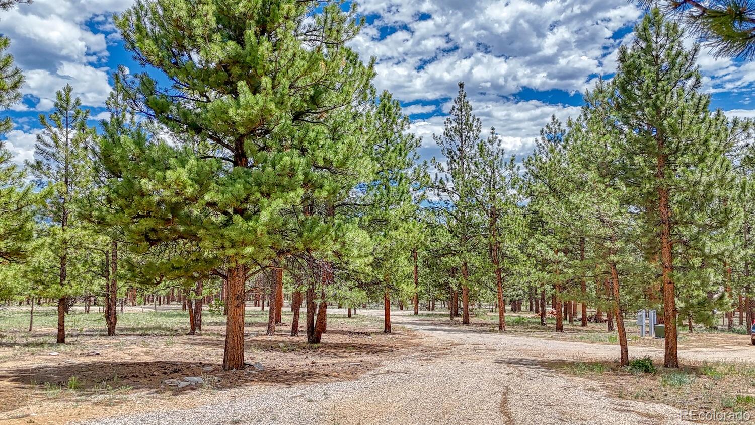 Buena Vista, Colorado, 81211, United States, 6 Bedrooms Bedrooms, ,5 BathroomsBathrooms,Residential,For Sale,1977574