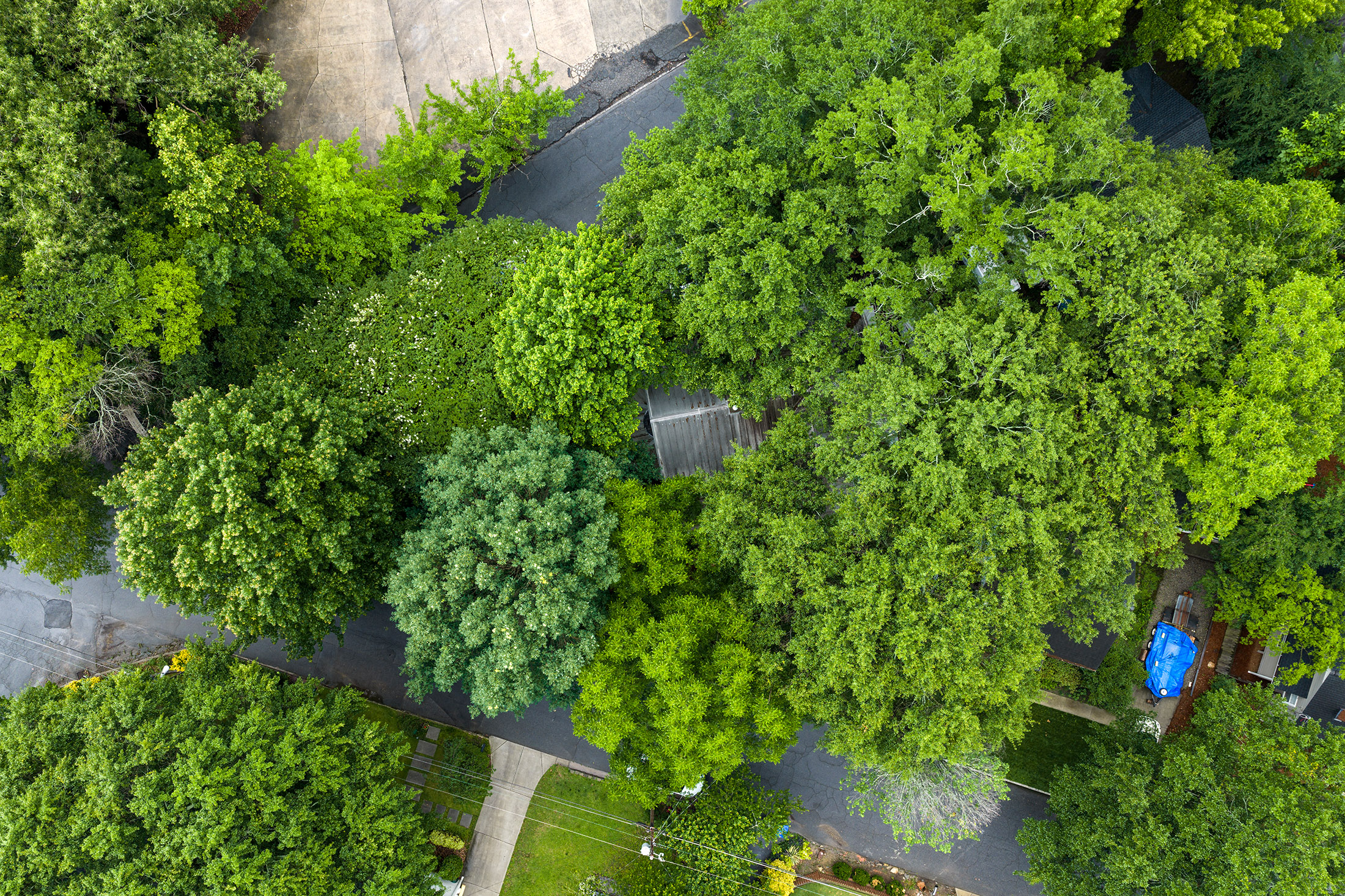  Captivating 1920s Farmhouse in Berkeley Park - 物件實景