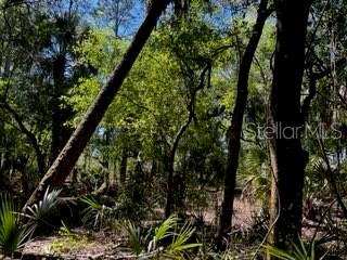 Punta Gorda, Florida, 33982, United States, ,Land,For Sale,1840783