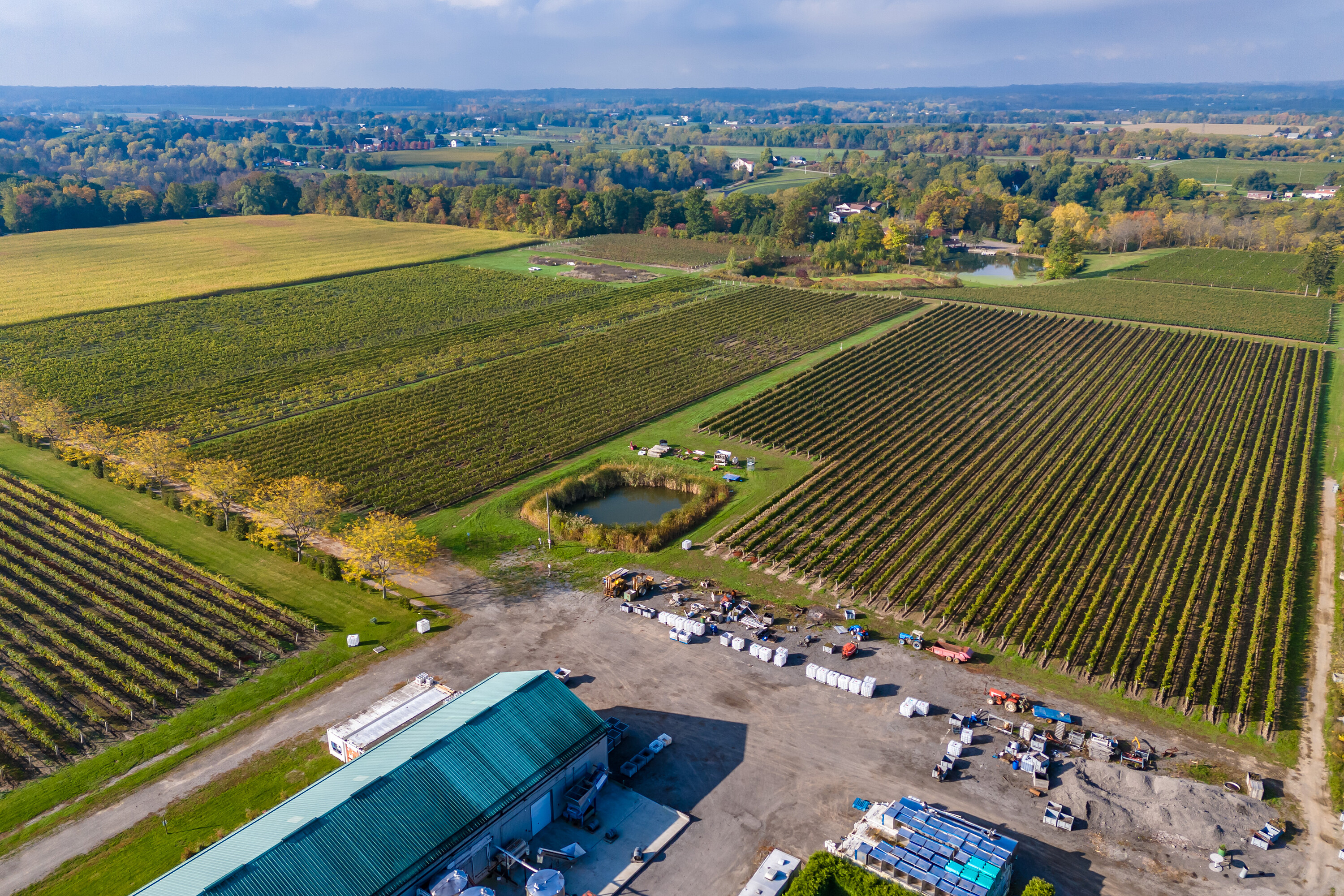  Fully Established Vineyard - 物件實景
