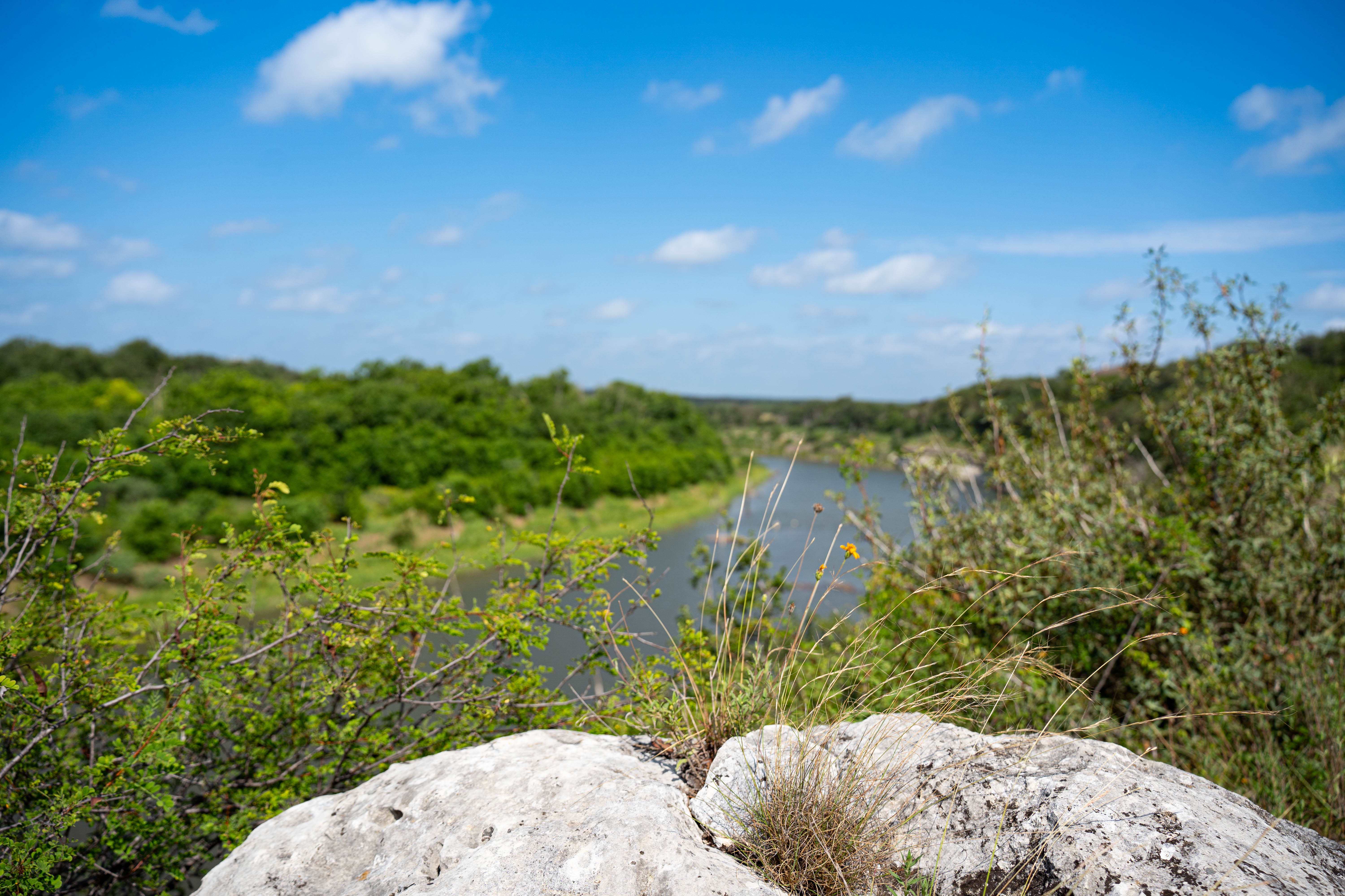  Refined Hill Country Living on the Guadalupe - 物件實景
