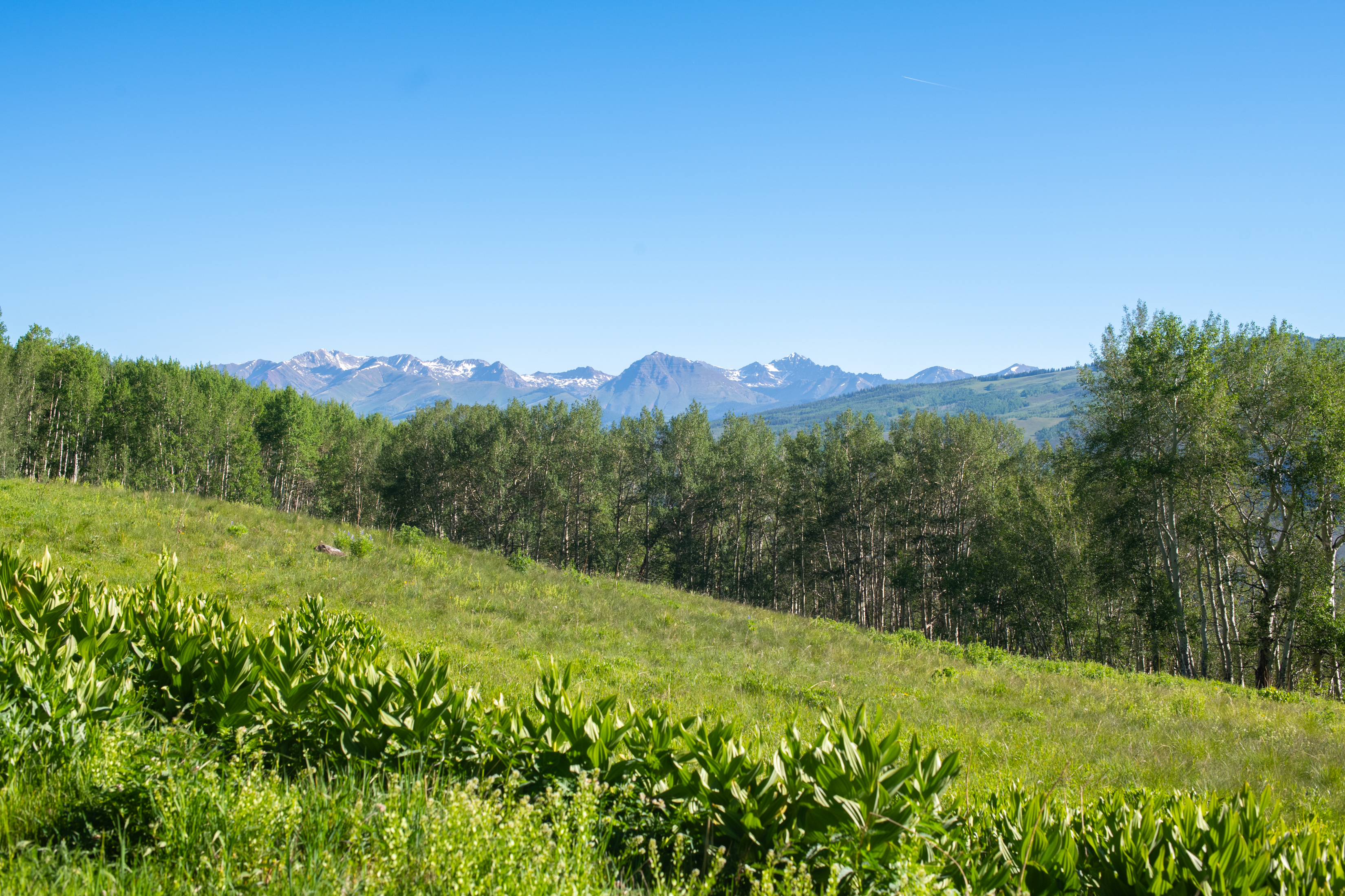  2177 Aspen Mountain Road - 物件實景