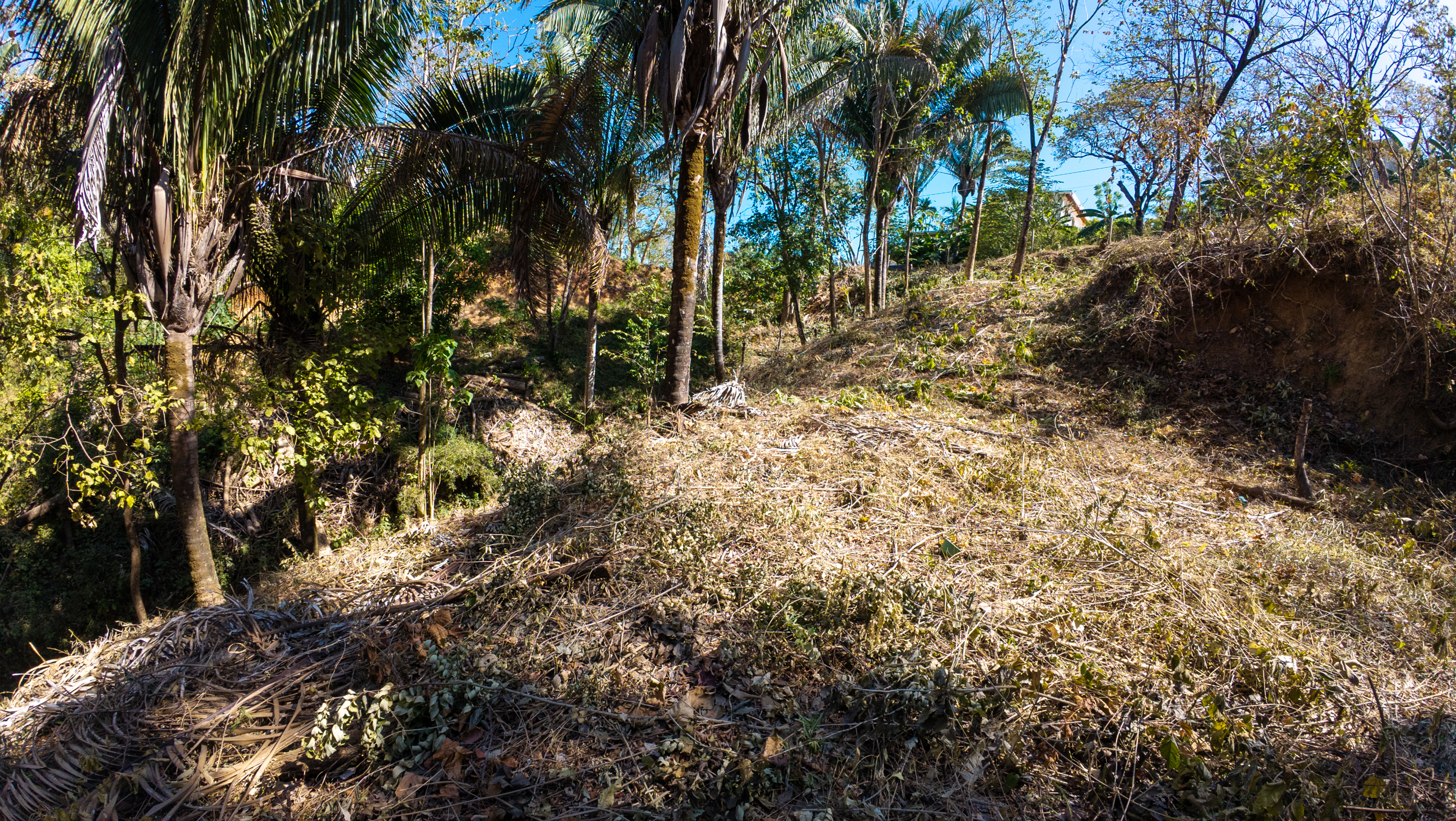 300 mt suroeste del Restaurante Dolce Vita, Espera, Nosara, Guanacaste, CR, ,Land,For Sale,300 mt suroeste del Restaurante Dolce Vita, Espera,1614754