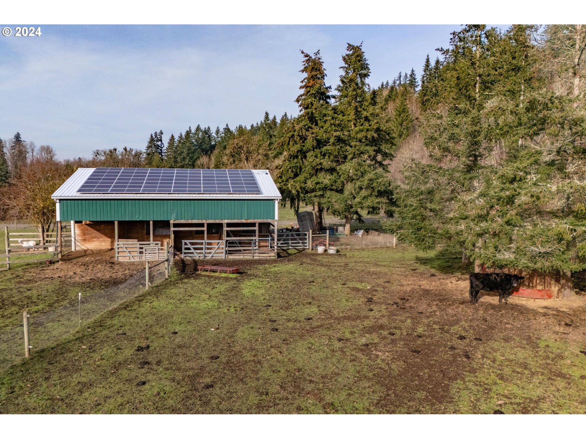 33020 S Dickey Prairie Rd, Molalla, Oregon, 97038, United States, 4 Bedrooms Bedrooms, ,3 BathroomsBathrooms,Residential,For Sale,33020 S Dickey Prairie Rd,1670604