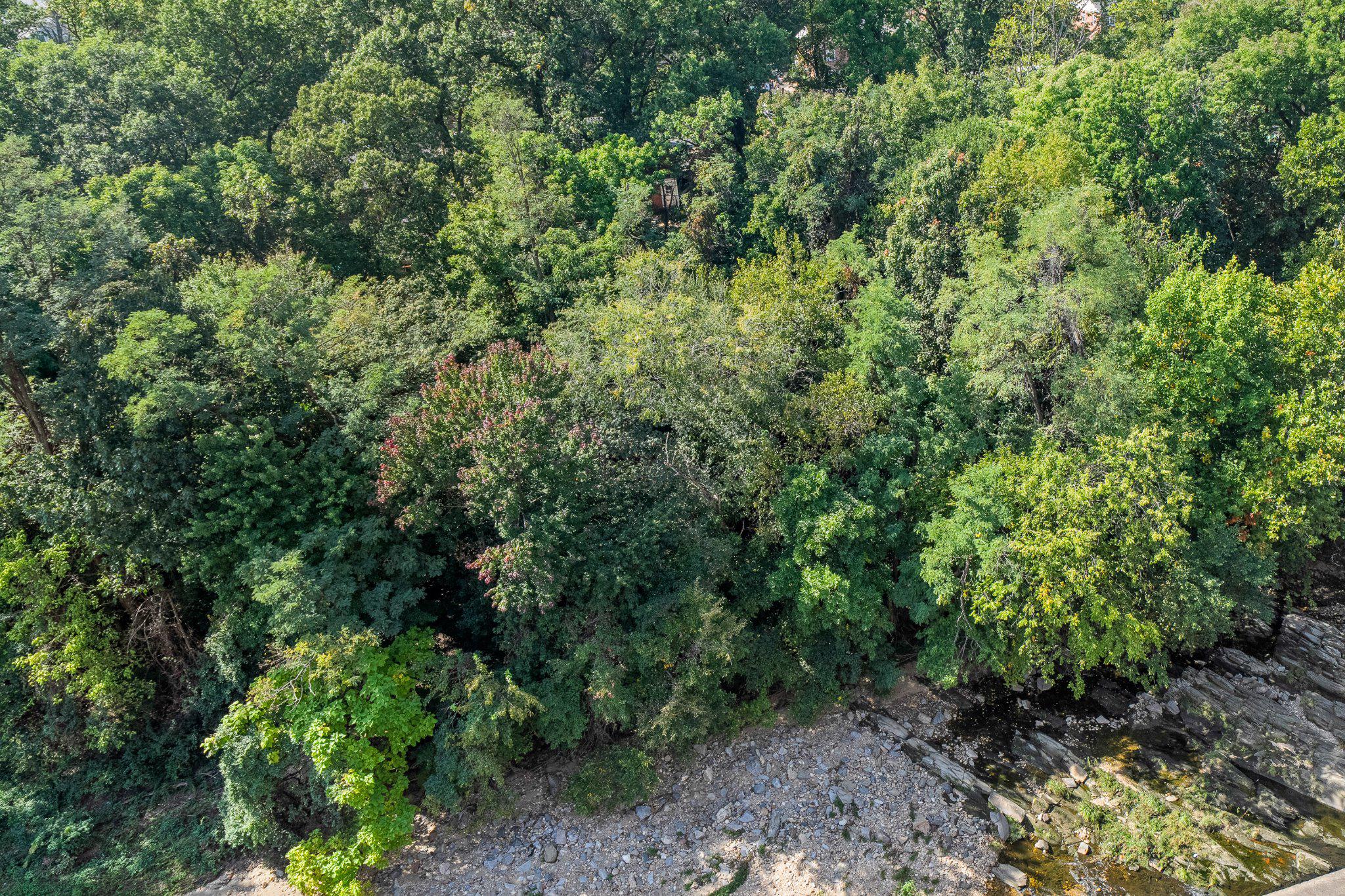  4600 S Four Mile Run Drive, Arlington, VA, 22204 - 物件實景