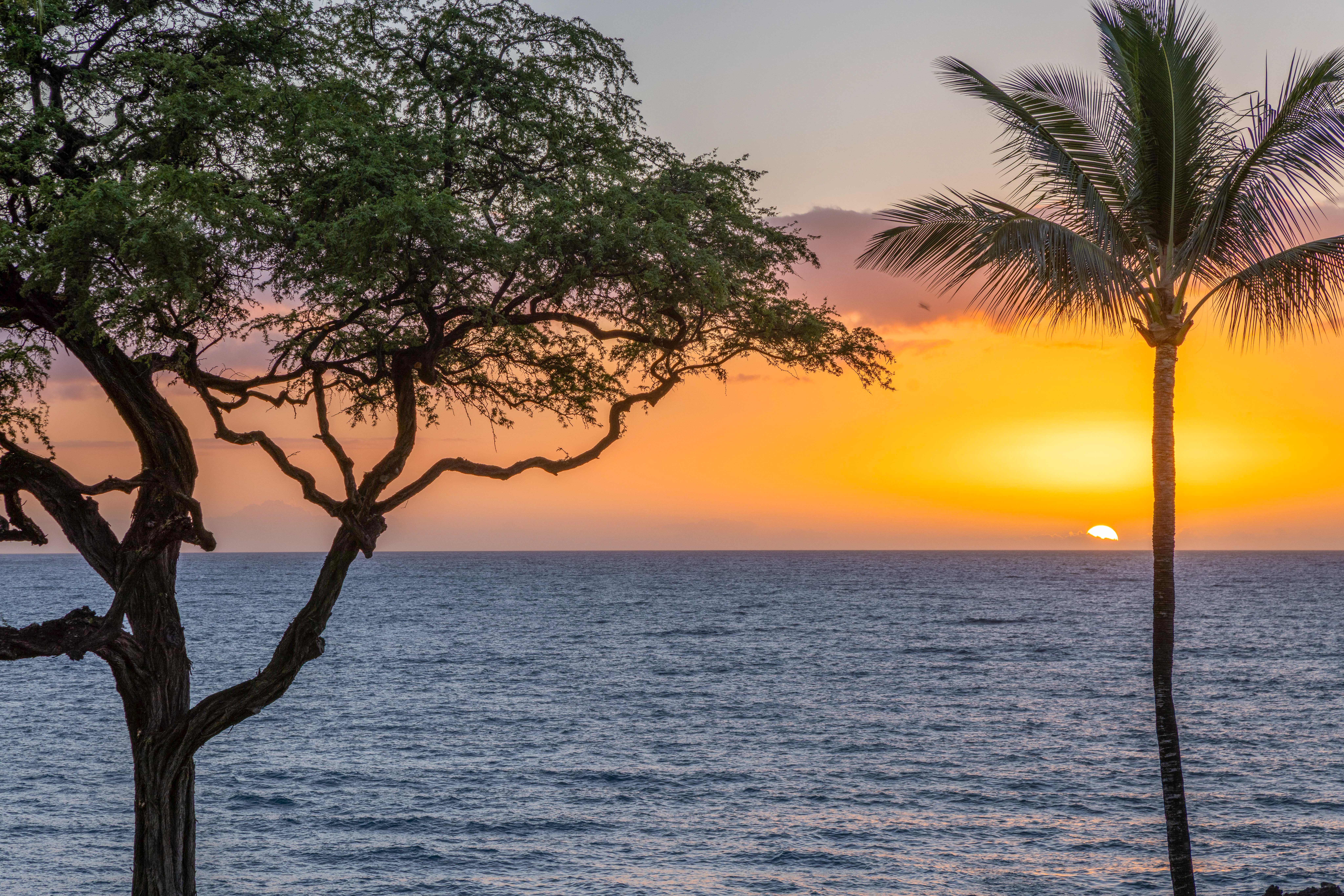  66 Kaunaoa Drive, Waimea, HI 96743 - 物件實景