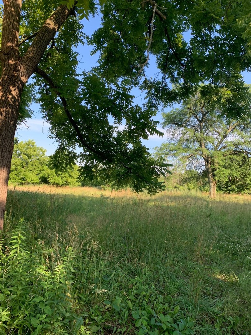 Long Grove, Illinois, 60047, United States, ,Land,For Sale,1794111