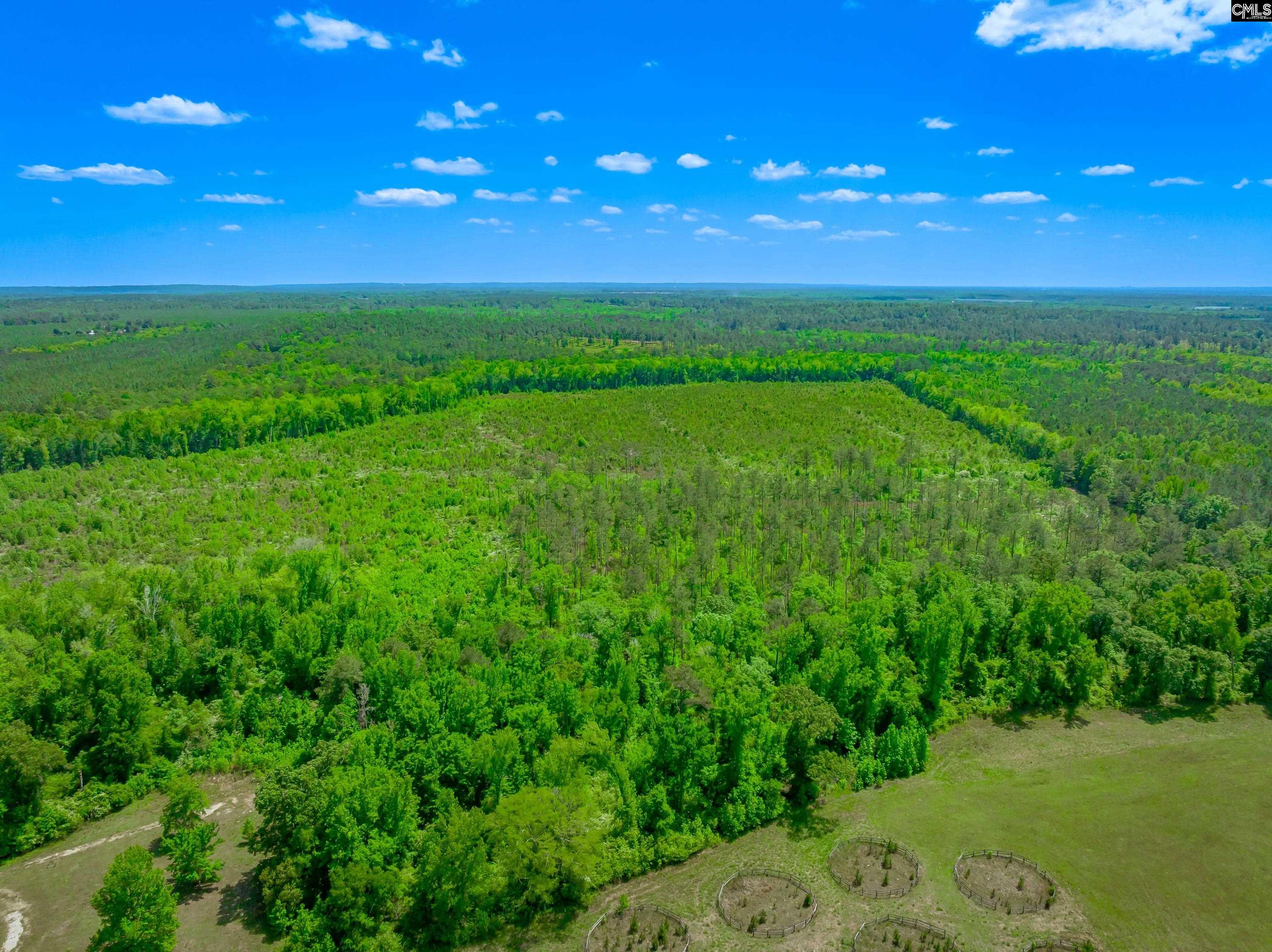  377 Sweet Street  Rembert, SC - 物件實景