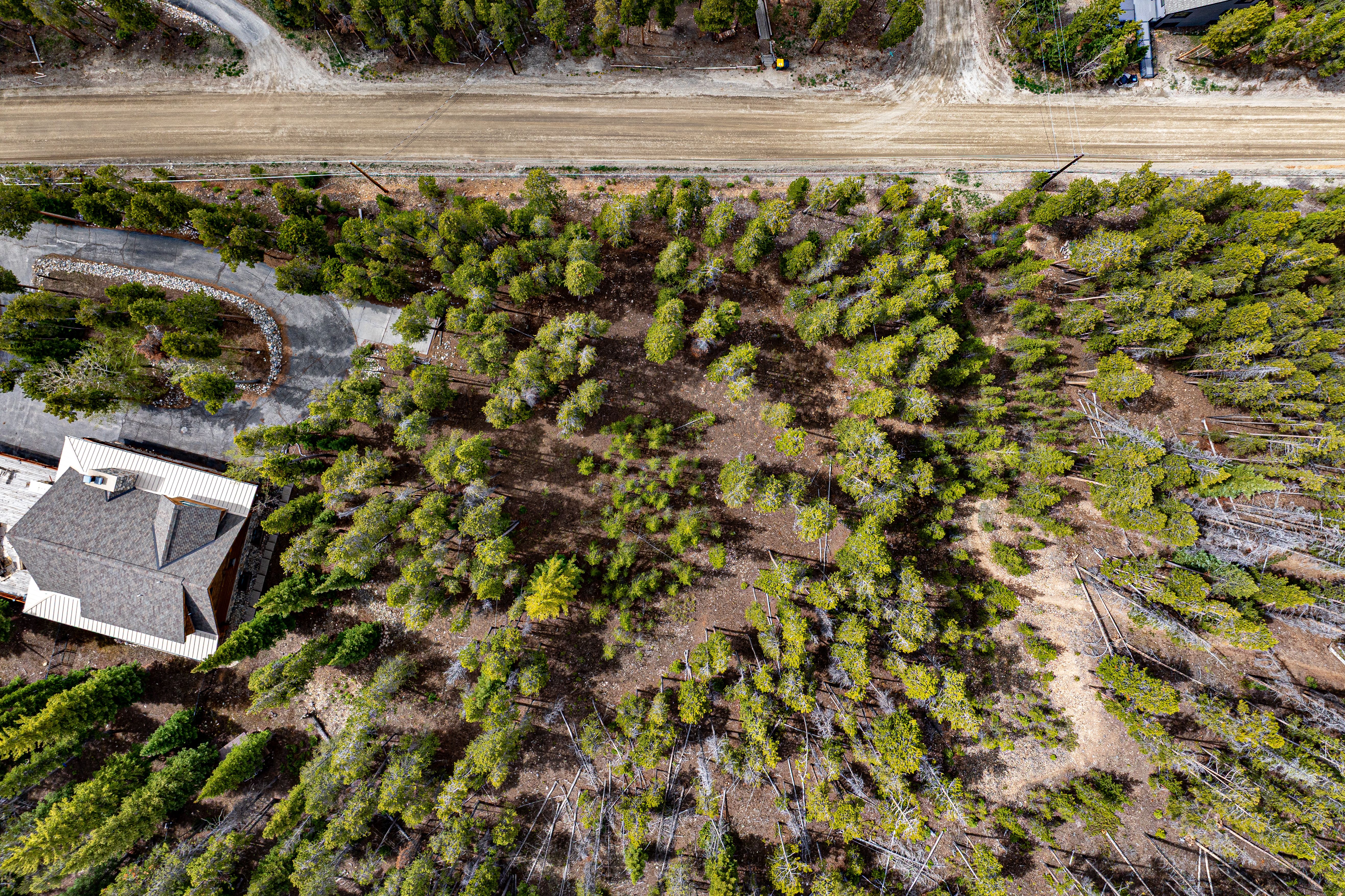  Prime Large Breckenridge Homesite in an Exceptional Location - 物件實景