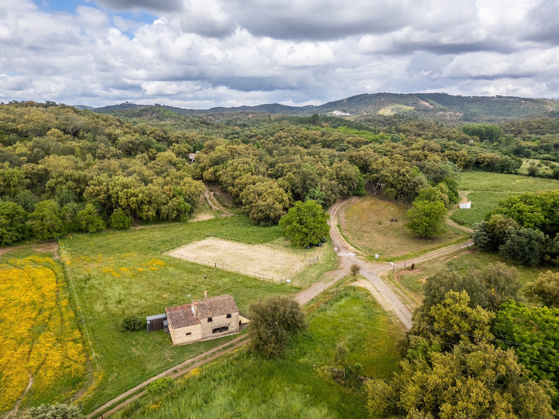  Cattle, equestrian, agricultural, and ecological farm in Aracena