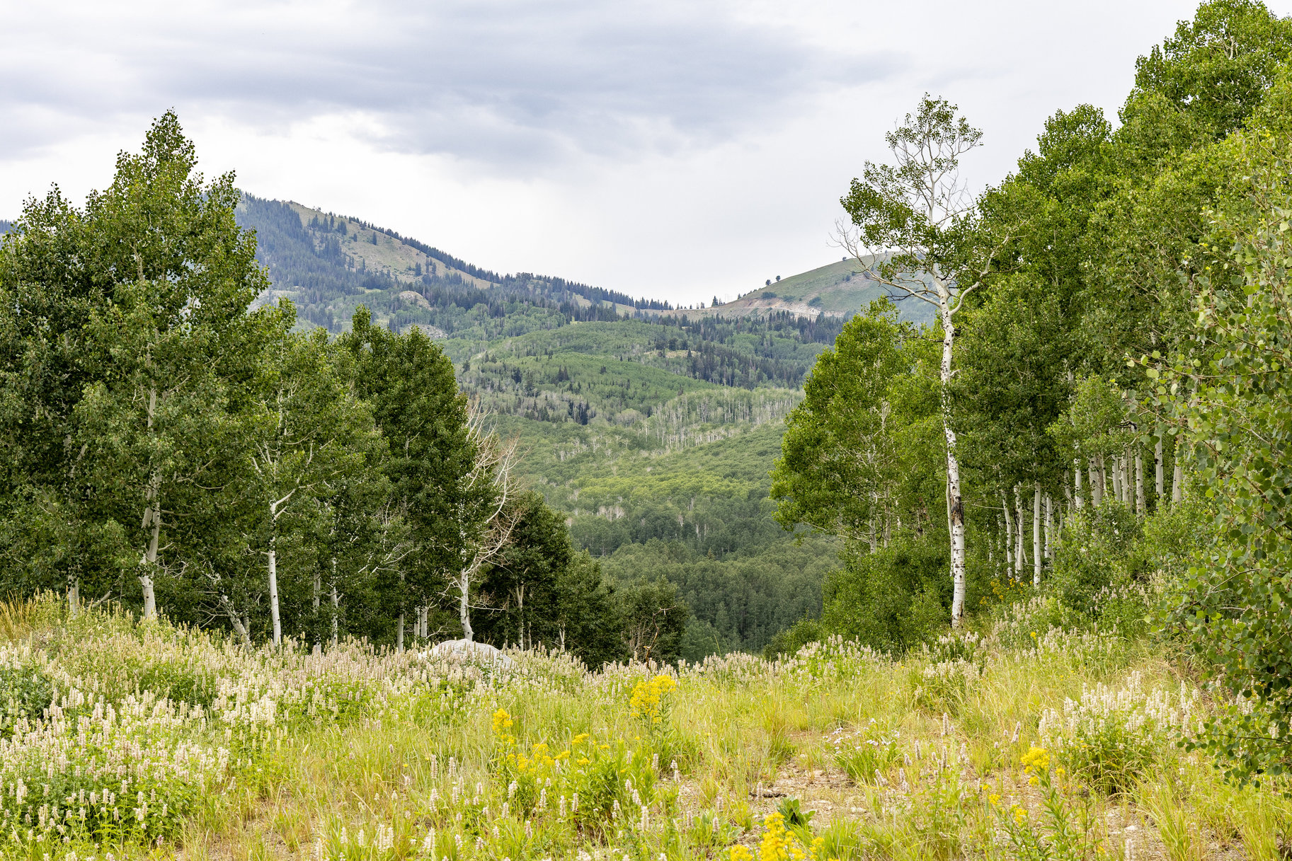  24 Acre Development Parcel in Bonanza Flats - 物件實景