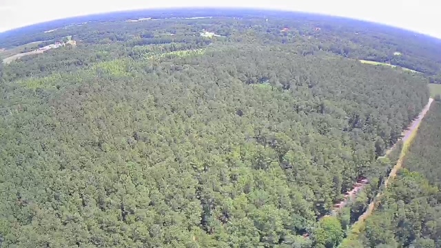 Reevesville, South Carolina, 29471, United States, ,Land,For Sale,1868815