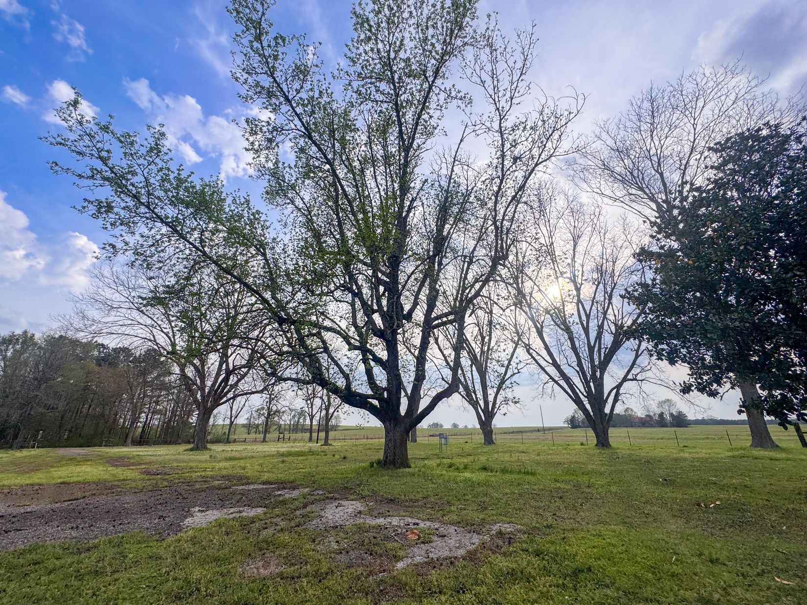 Bivins, Texas, 75555, United States, ,Residential,For Sale,1755933