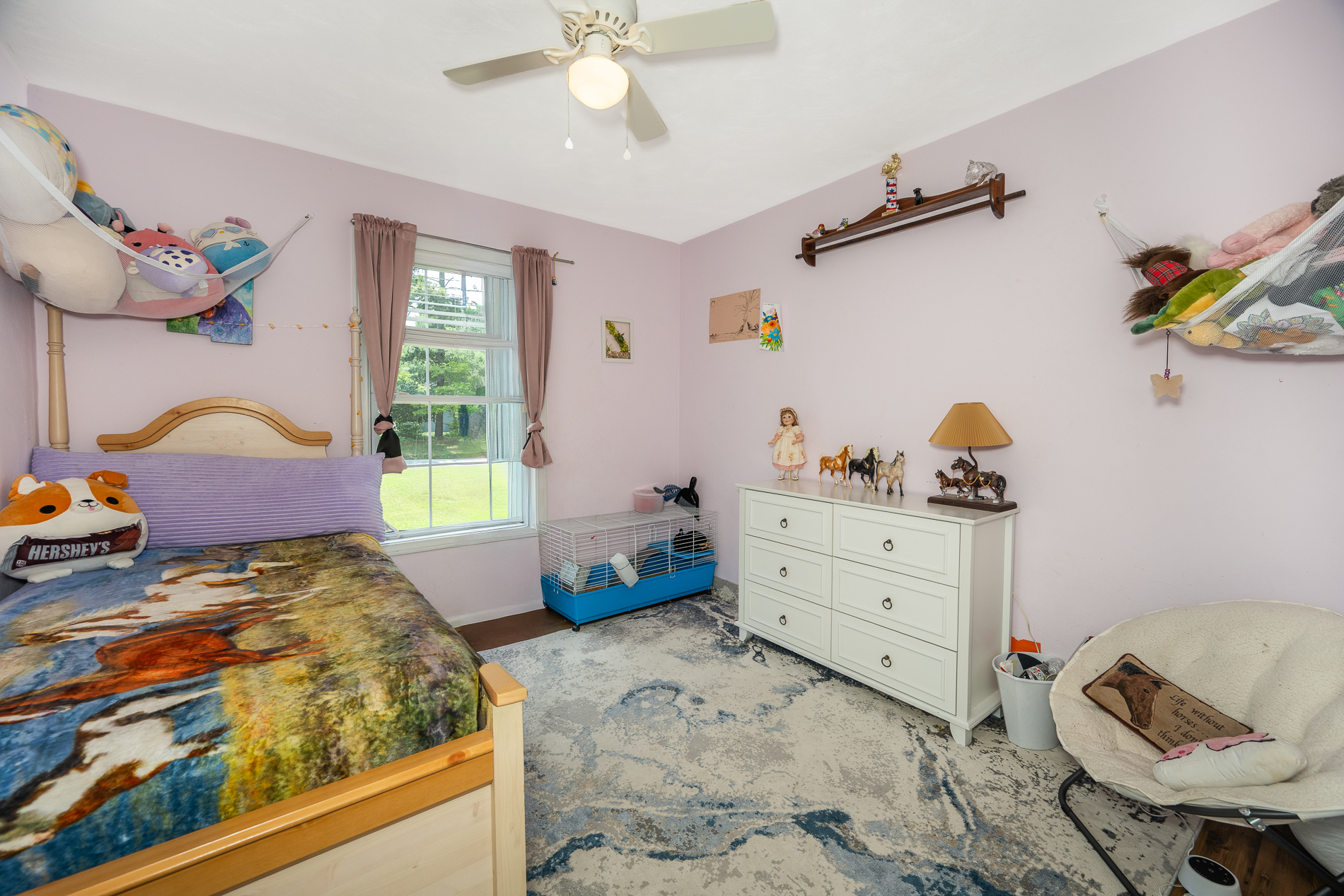  2720 Lake Cohoon Road, Suffolk, VA 23434 - 物件實景