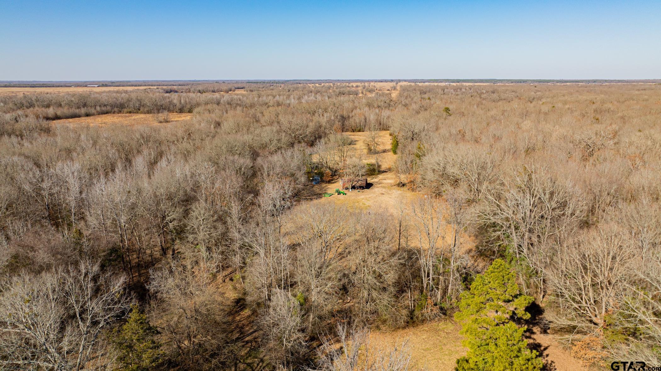 Dekalb, Texas, 75559, United States, ,Land,For Sale,1983481