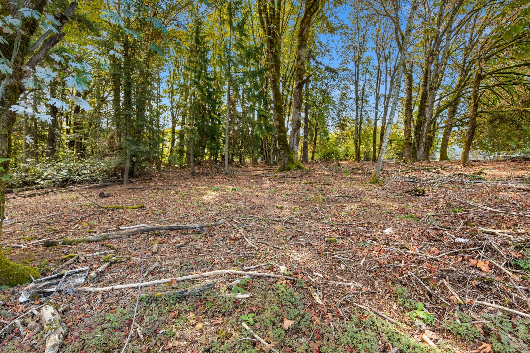  16370 Bell ST Sandy, OR 97055 - 物件實景
