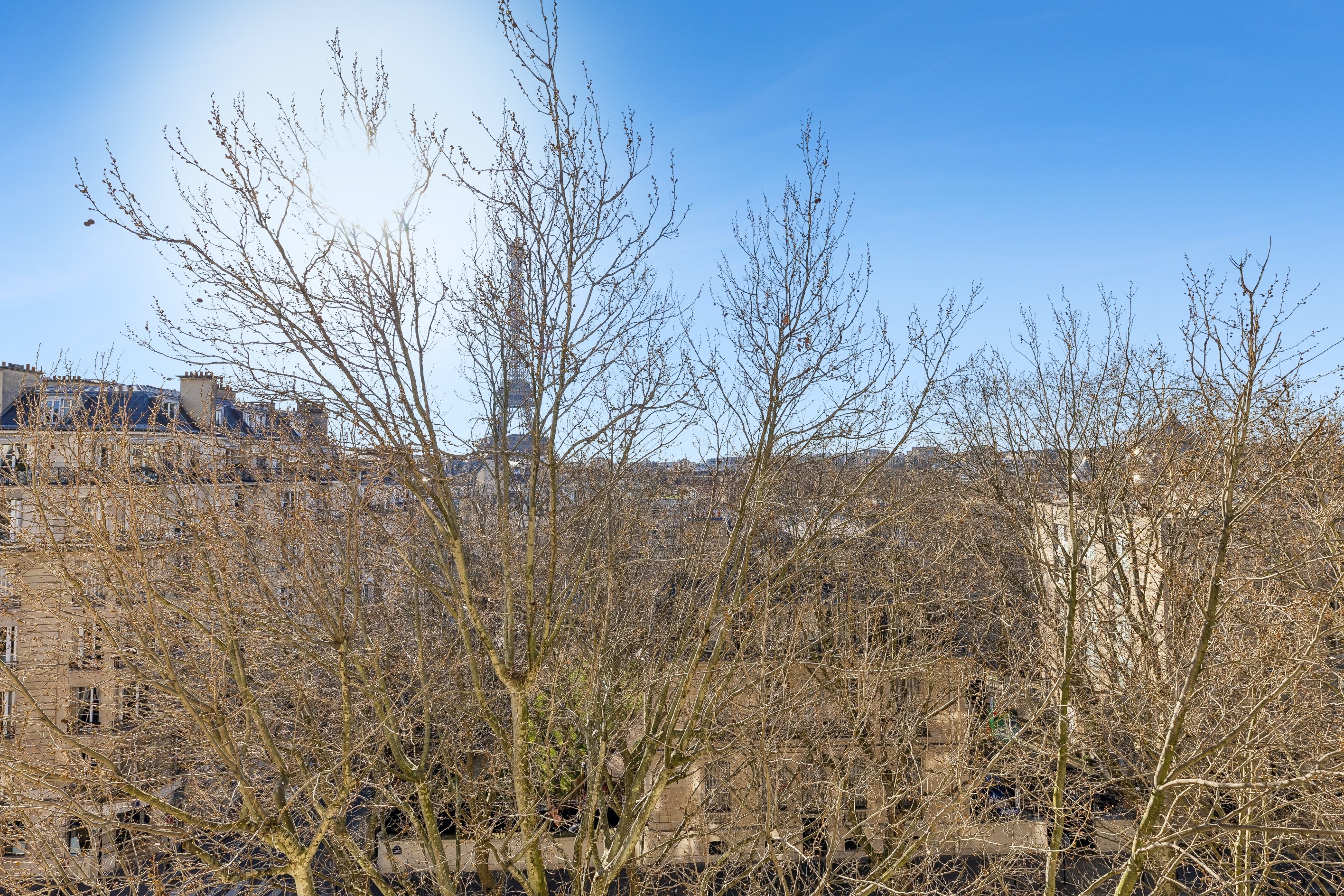  Spectacular Eiffel Tower Views – Exceptional 200 sqm Reception Apartment in the… - 物件實景