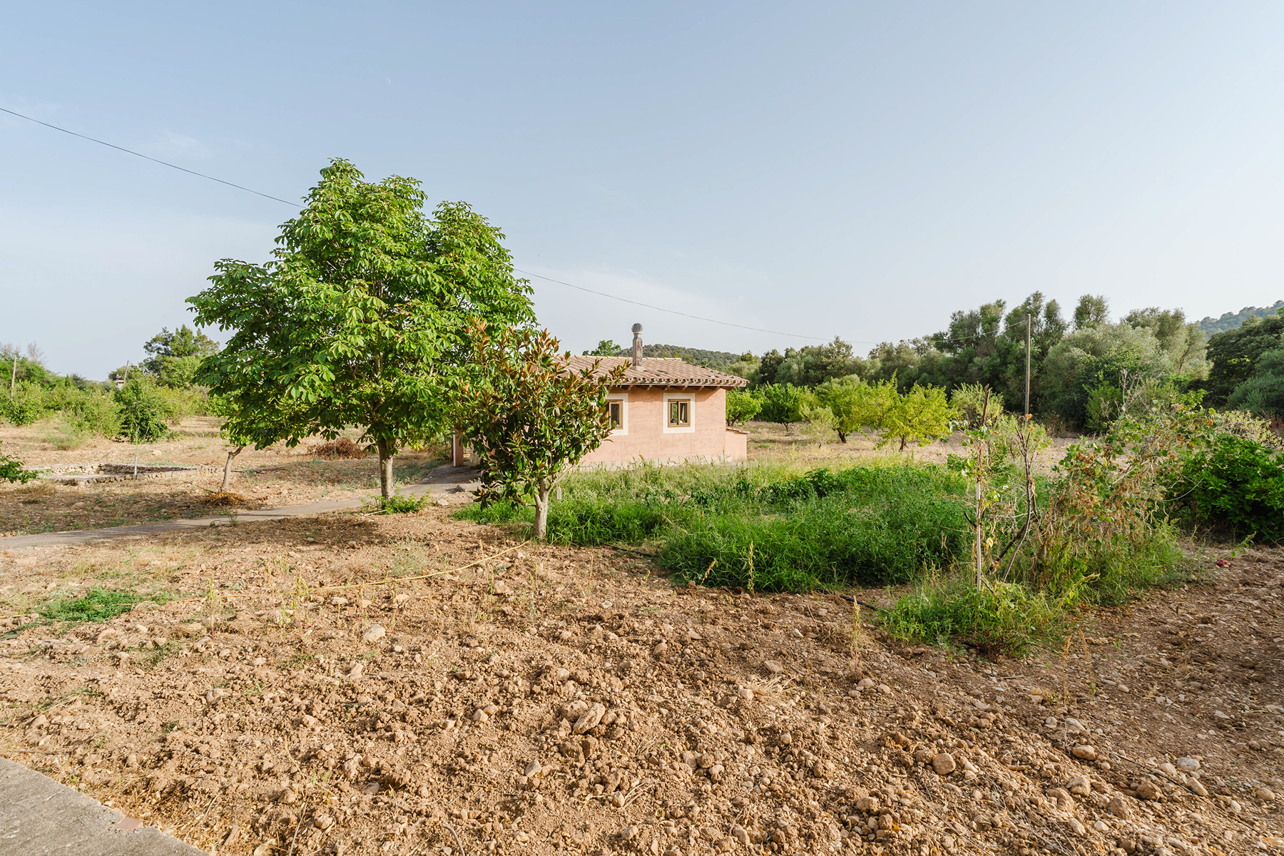  Rustic property with views of the Tramuntana mountains in Alaró - 物件實景