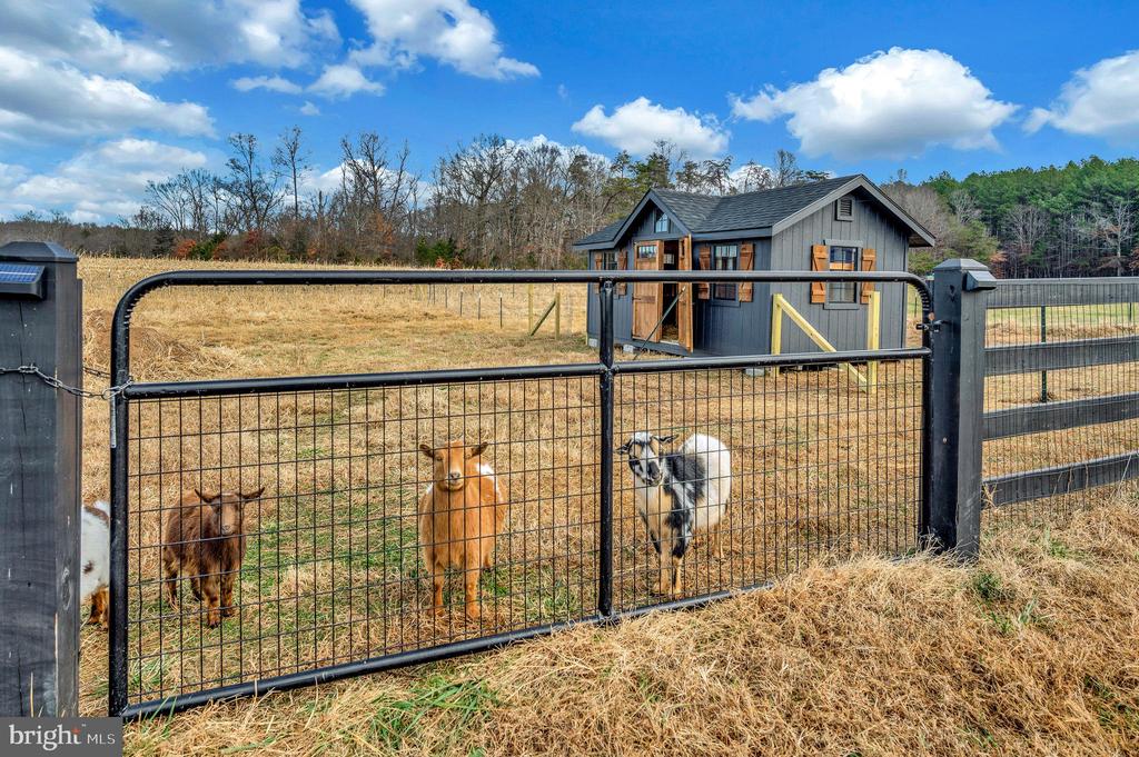 Bealeton, Virginia, 22712, United States, 4 Bedrooms Bedrooms, ,3 BathroomsBathrooms,Residential,For Sale,2002871