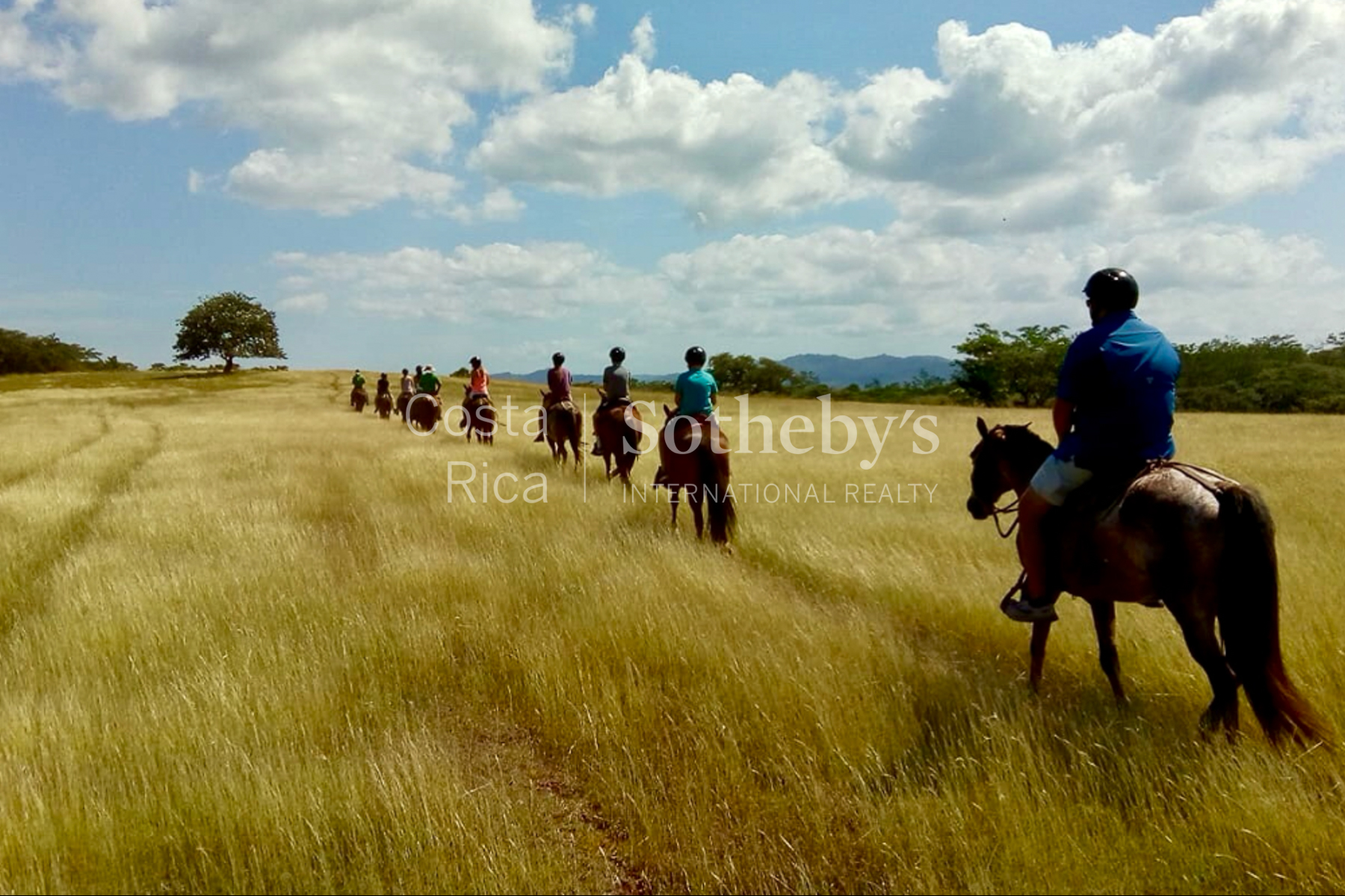  Amazing Lot in Hacienda Pinilla, Lot 10 - 物件實景