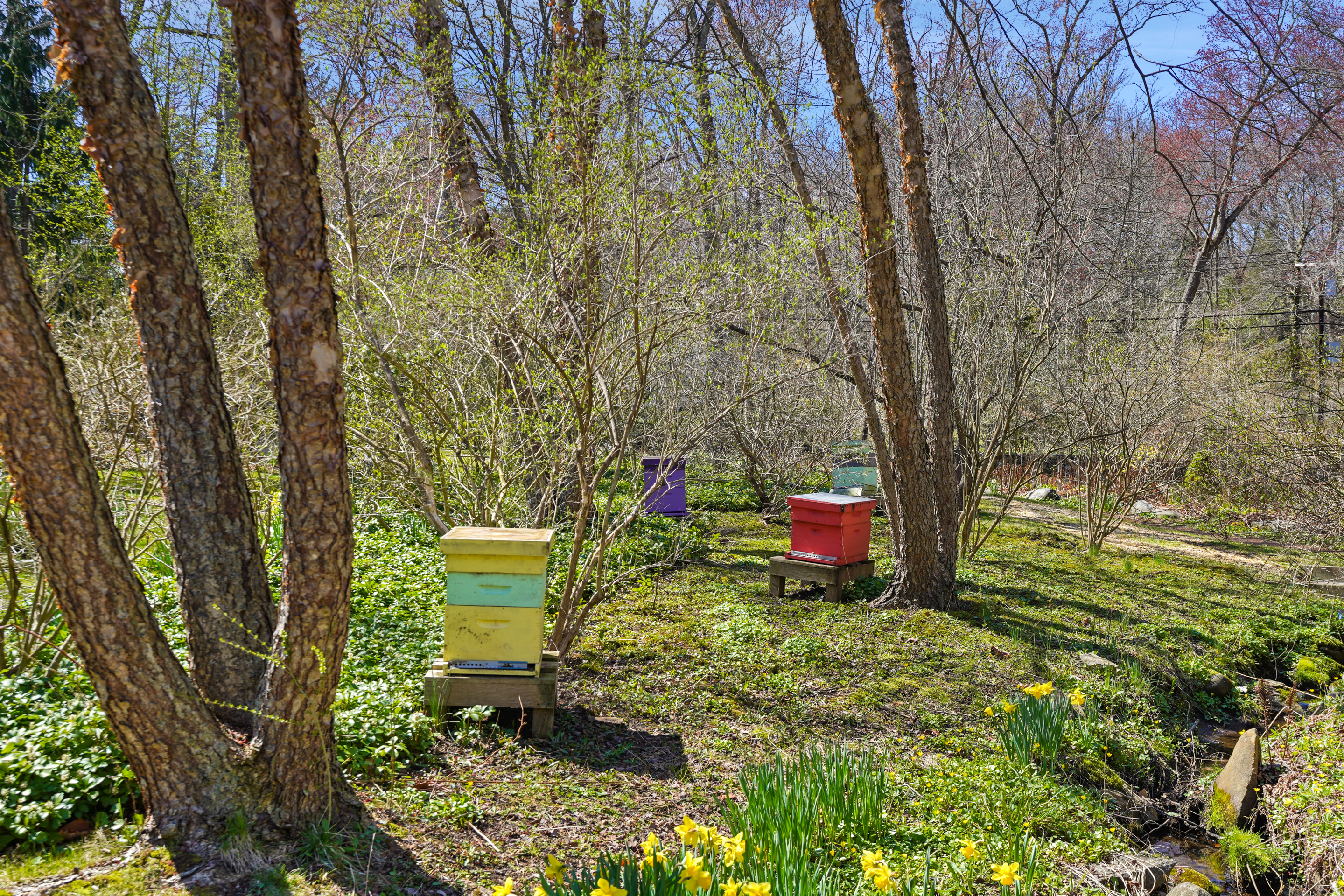  135 & 129 Zaccheus Mead Lane - 物件實景