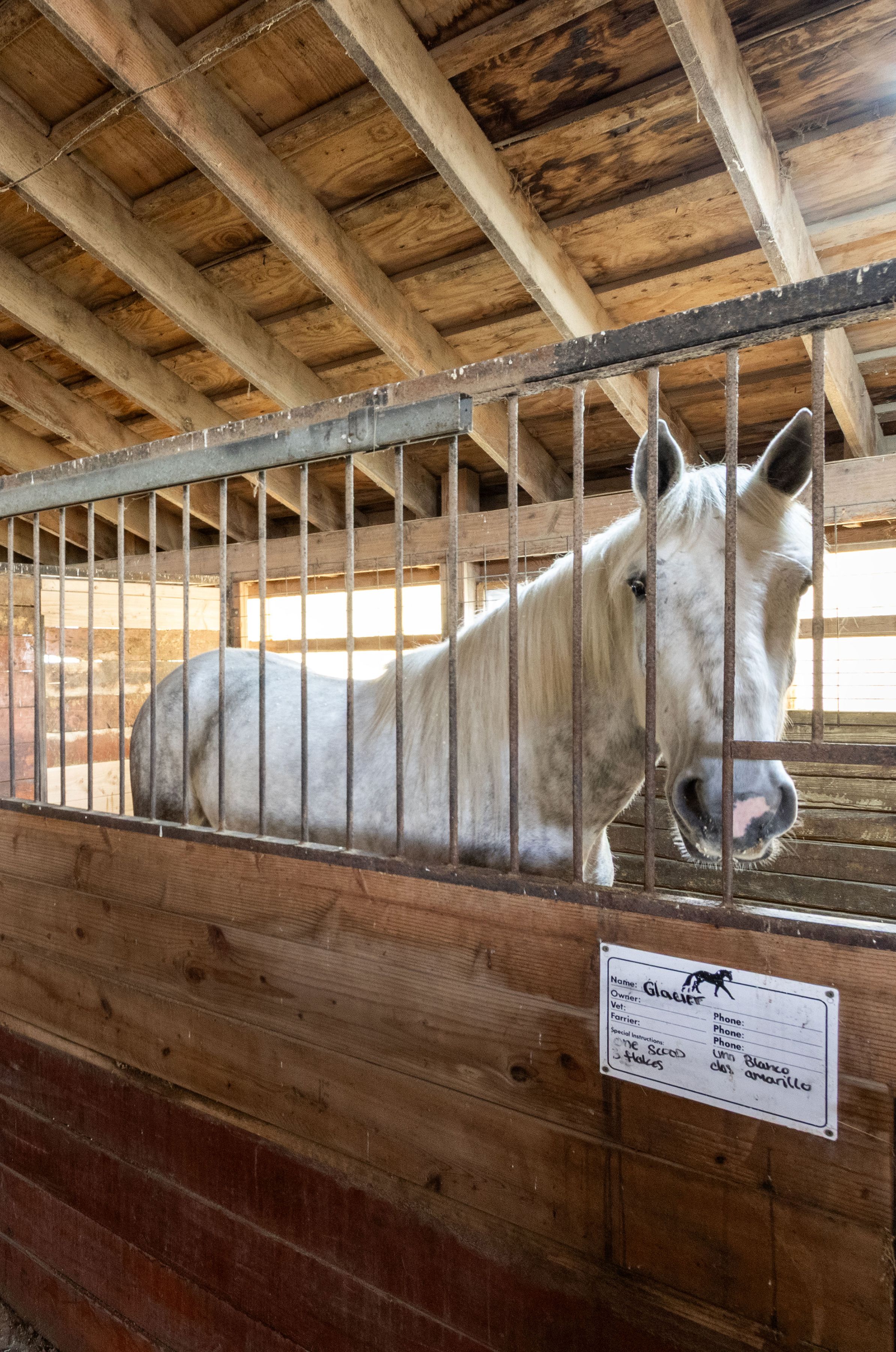  1904 Broad Street, Perkasie, PA 18944 - 物件實景