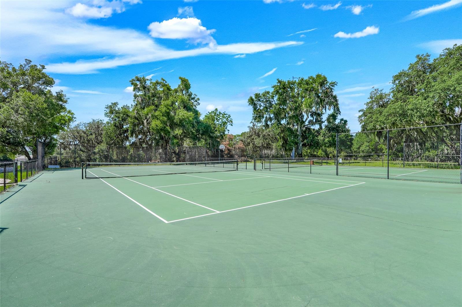 Terragona Dr, Sorrento, FL 32776