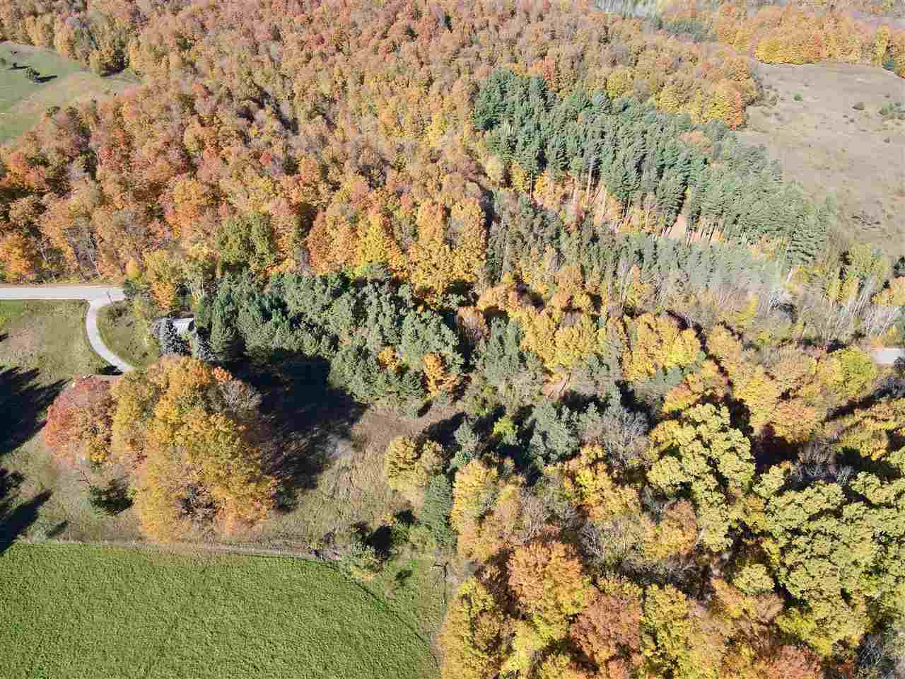 Vance Rd, East Jordan, MI 49727 #1
