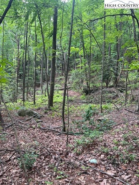 Purlear, North Carolina, 28665, United States, ,Land,For Sale,1990813