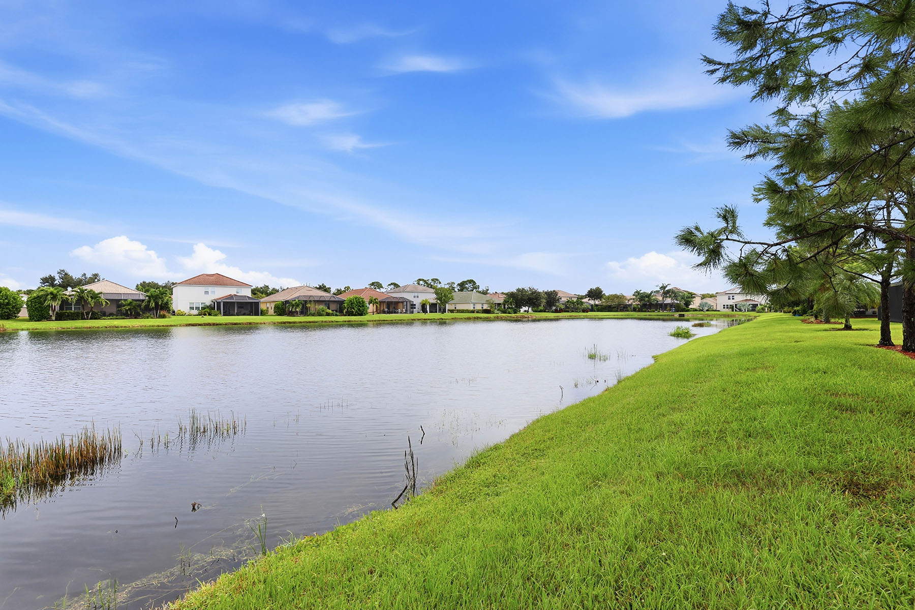  STONEYBROOK AT VENICE - 物件實景