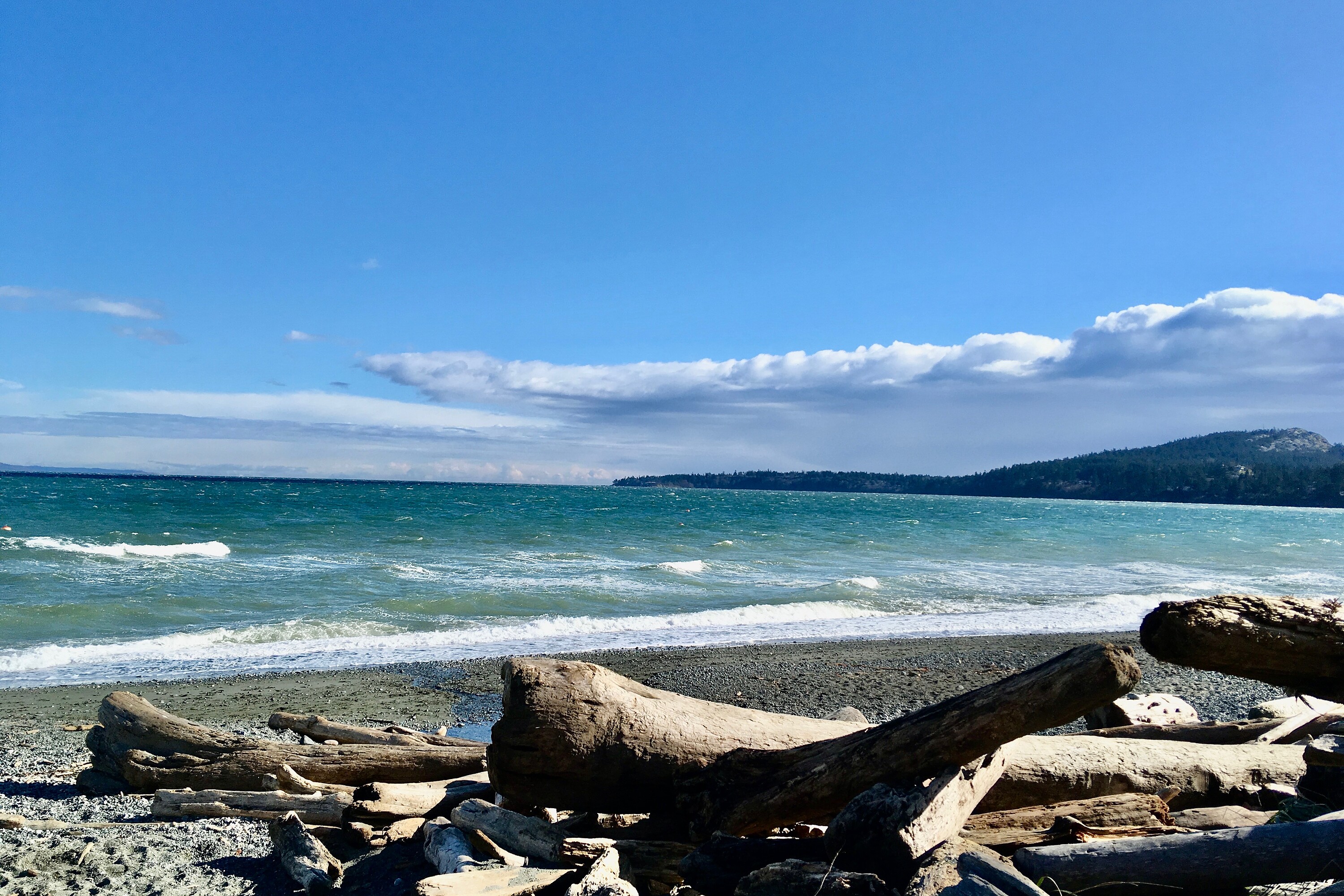  Chic Cordova Bay Home - 物件實景