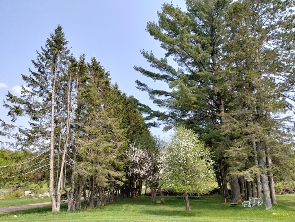 Butternut, Wisconsin, 54514, United States, ,Residential,For Sale,1921385
