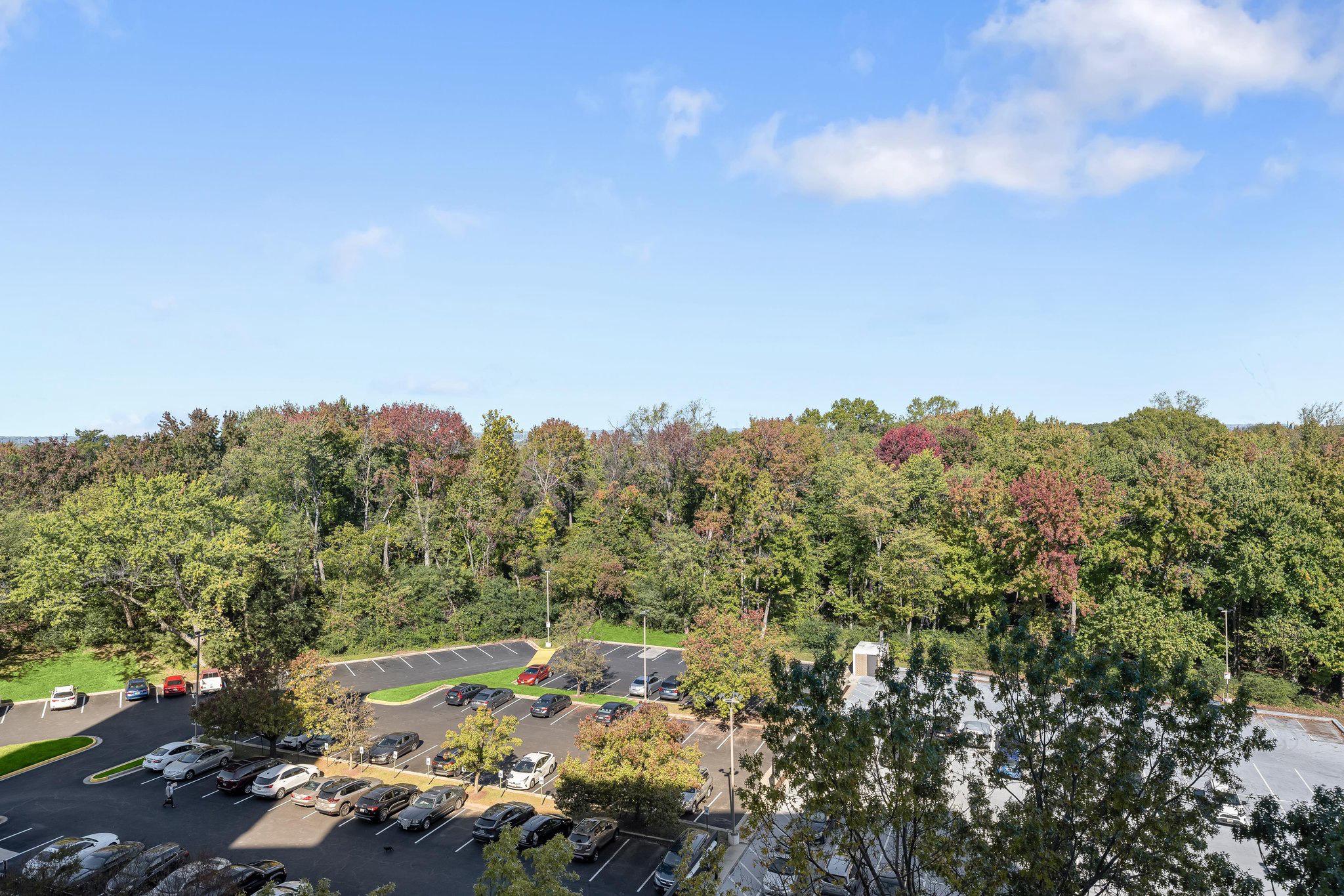  6100 Westchester Park Drive, College Park, MD, 20740 - 物件實景