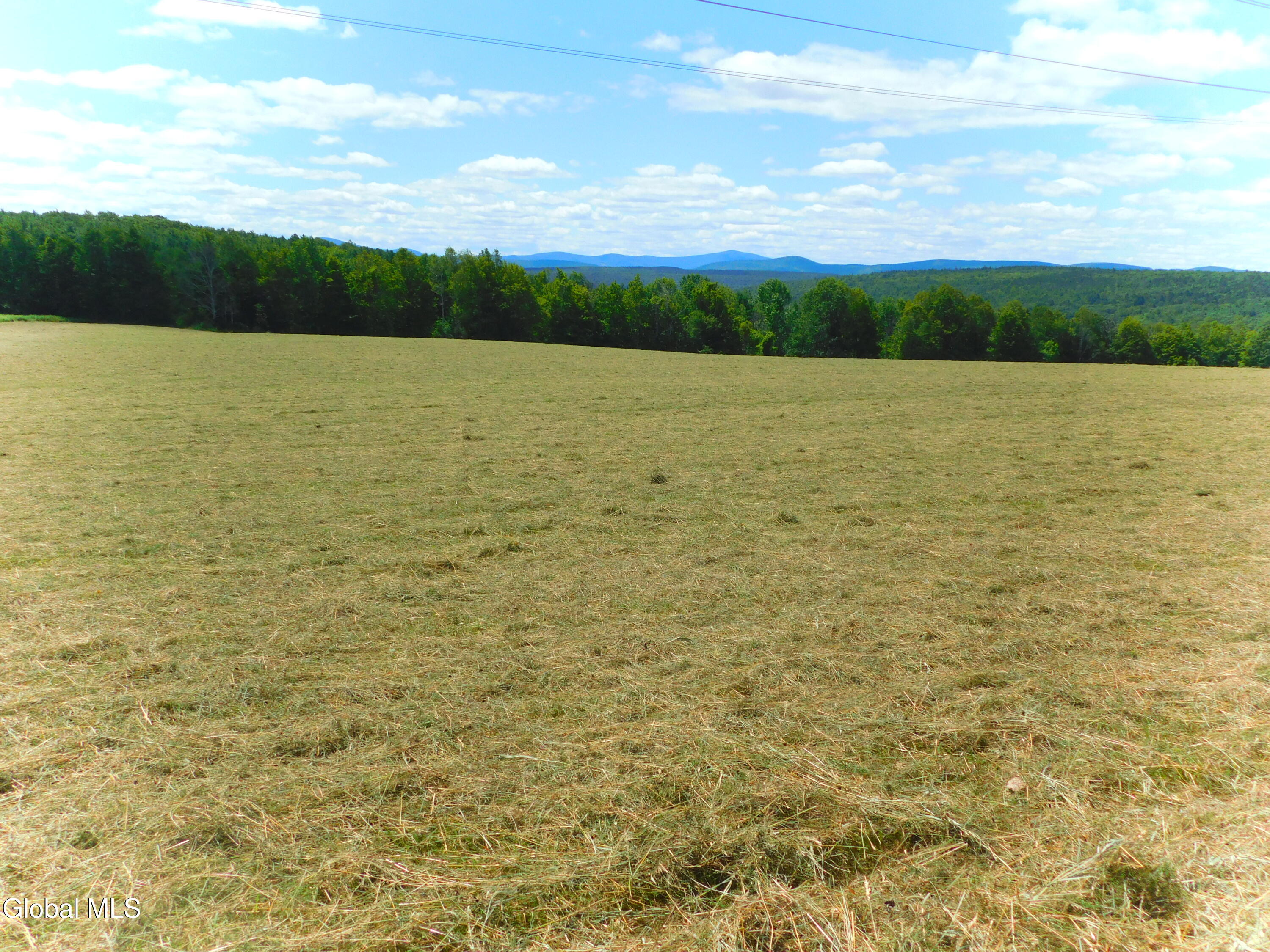 Broome, New York, 12122, United States, 4 Bedrooms Bedrooms, ,3 BathroomsBathrooms,Residential,For Sale,1928748