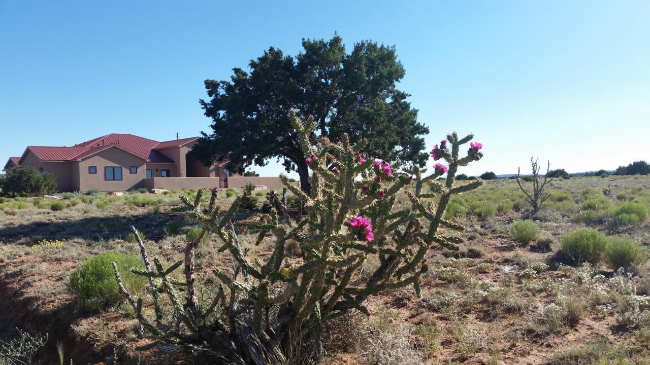 337 Scholle Road, Mountainair, New Mexico, 87036, United States, 3 Bedrooms Bedrooms, ,3 BathroomsBathrooms,Residential,For Sale,337 Scholle Road,1459491