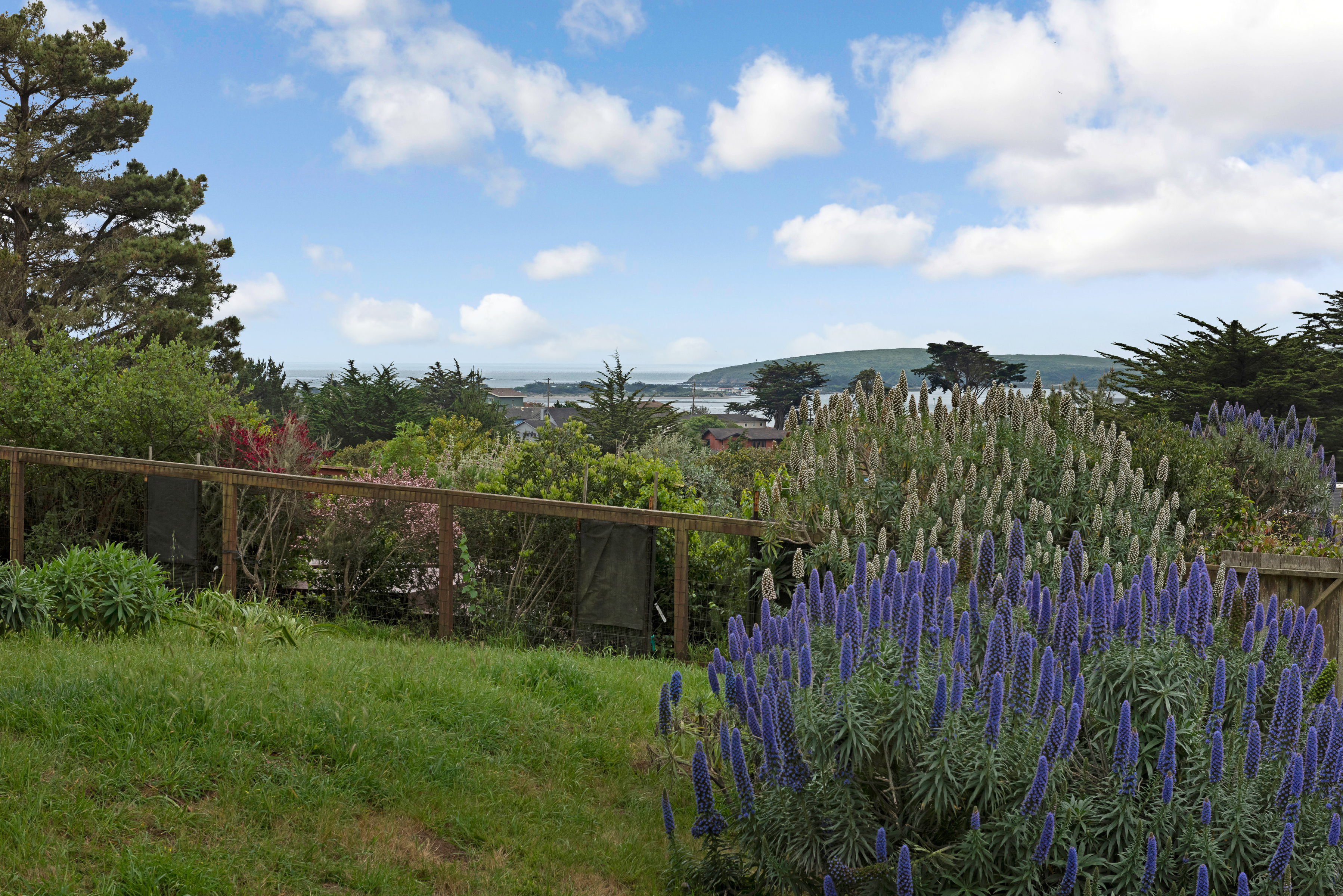  1534 California 1, Bodega Bay, CA 94923 - 物件實景