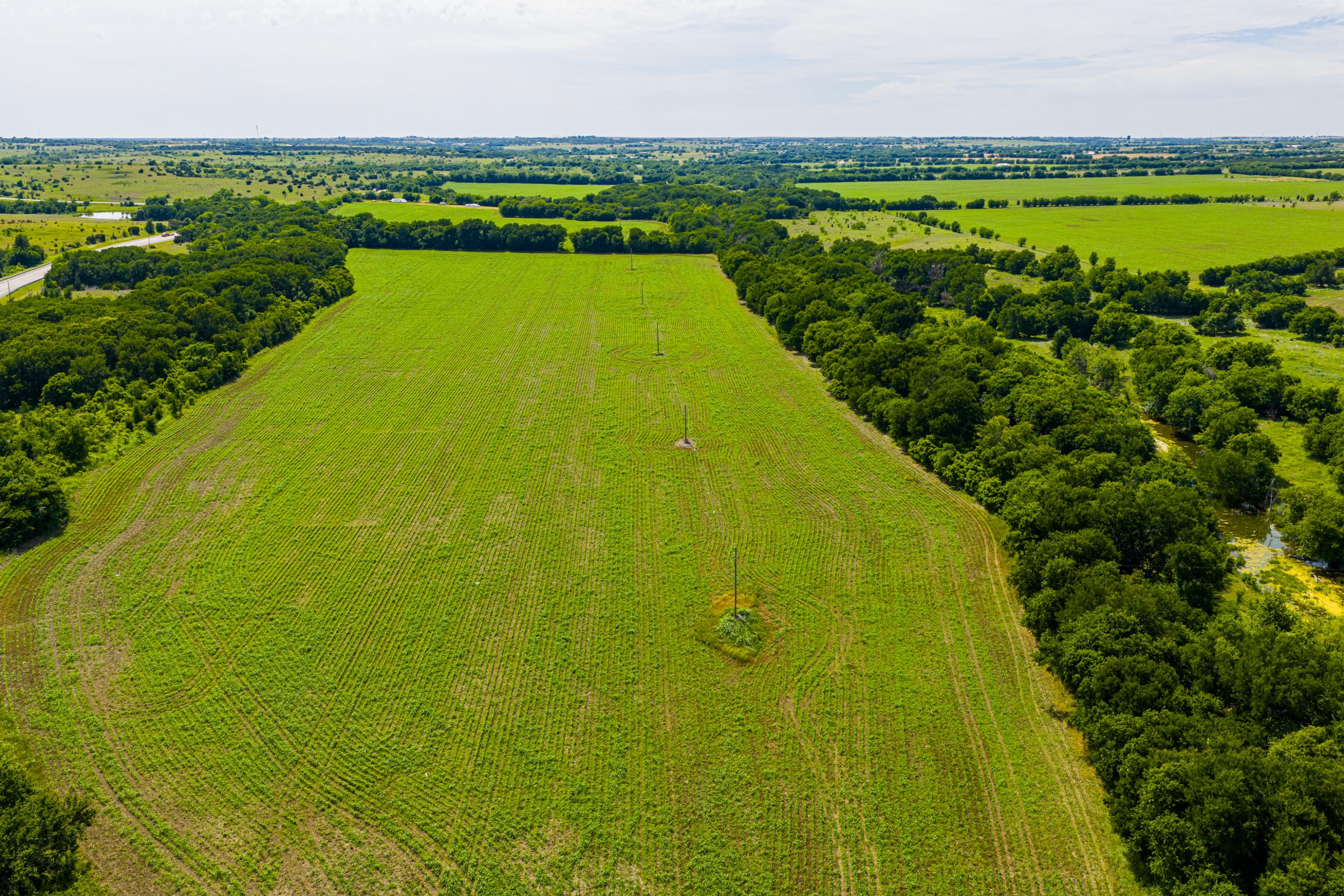  667 Acre Development Property With Two Miles Of Highway Frontage - 物件實景