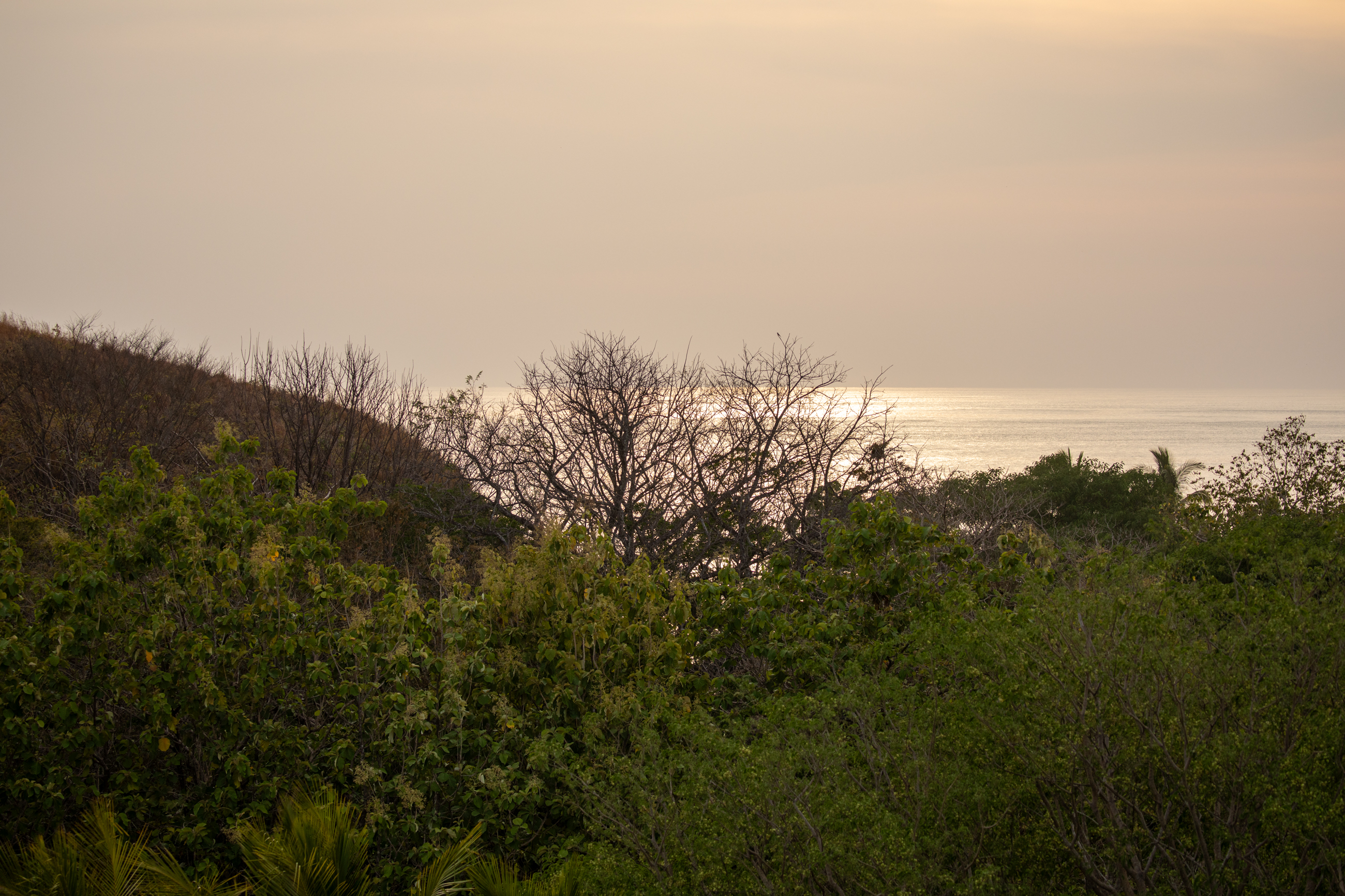 Nosara, Guanacaste, CR, 16 Bedrooms Bedrooms, ,9 BathroomsBathrooms,Residential,For Sale,1587974