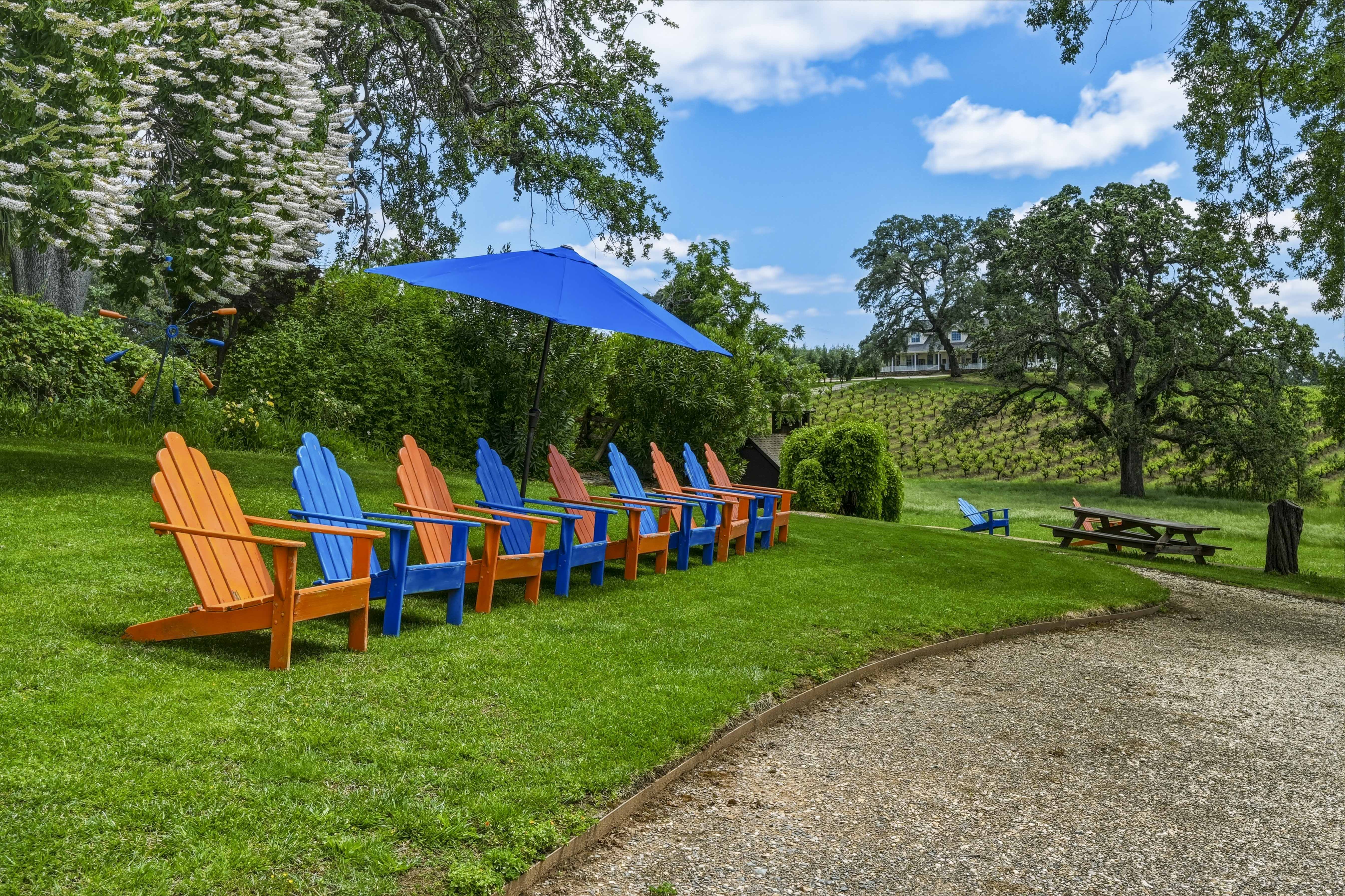  10120 Shenandoah Road, Plymouth, CA 95669 - 物件實景