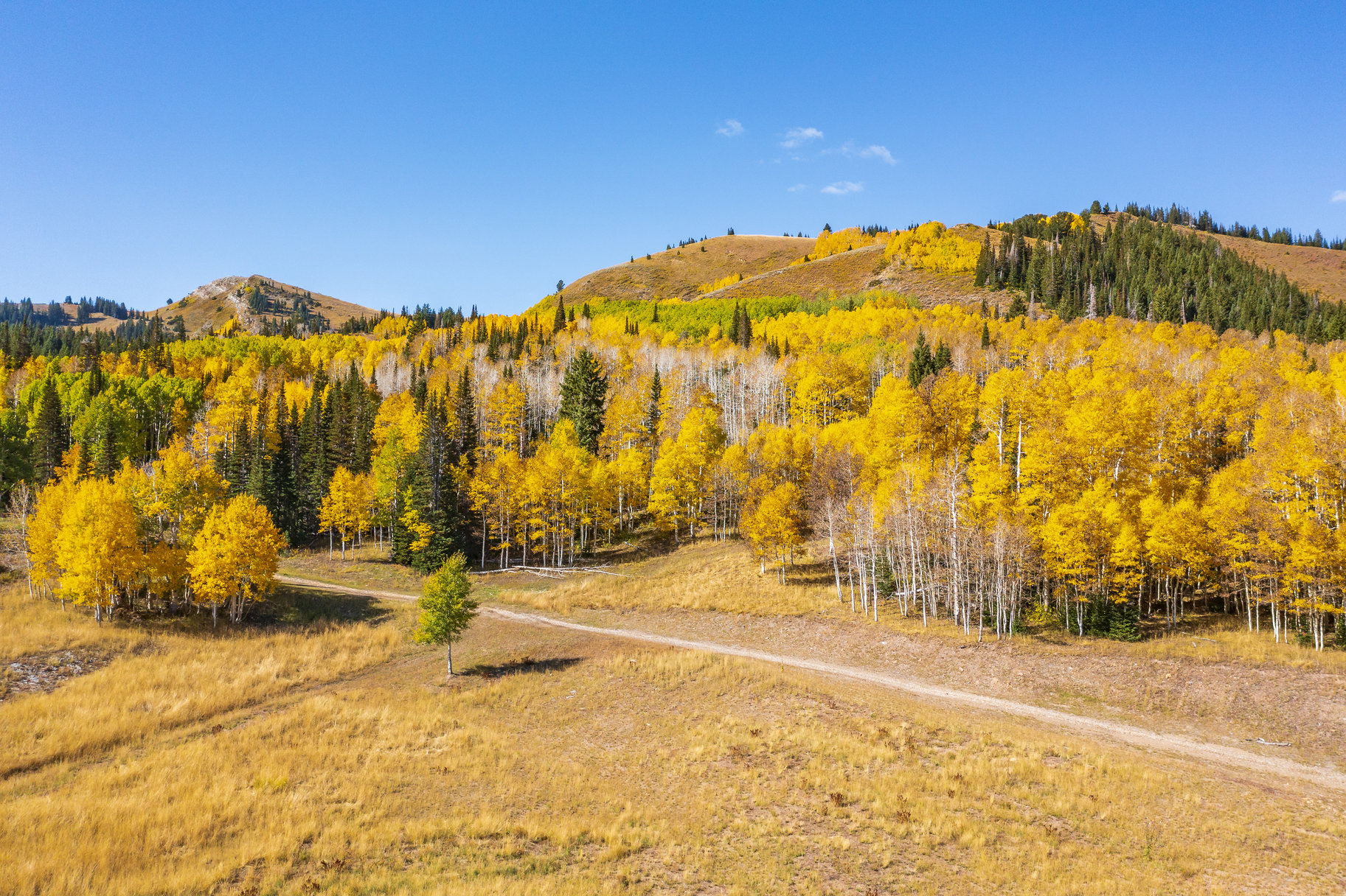  Incredible 28 Acre Estate Lot in the Colony at White Pine Canyon - 物件實景