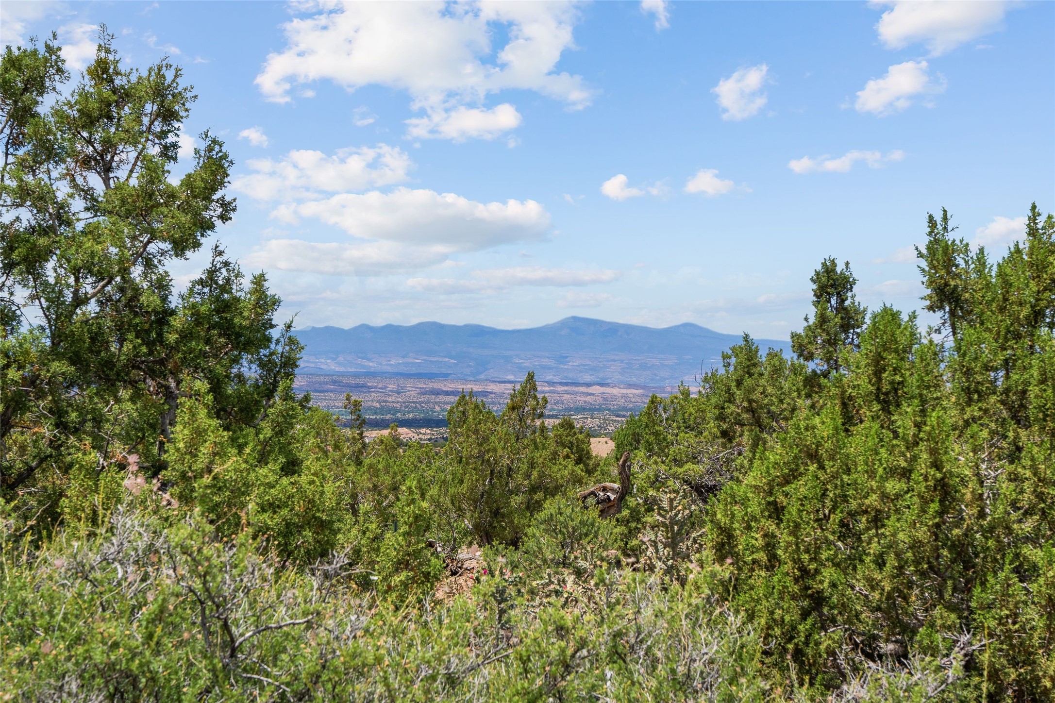  47 Pacheco Meadow Lane - 物件實景
