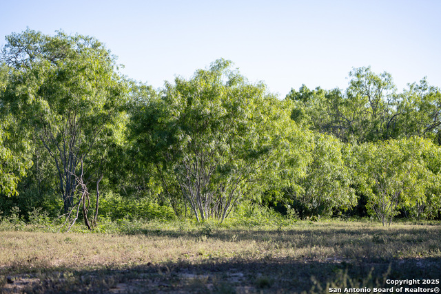 Beeville, Texas, 78102, United States, ,Land,For Sale,1942121