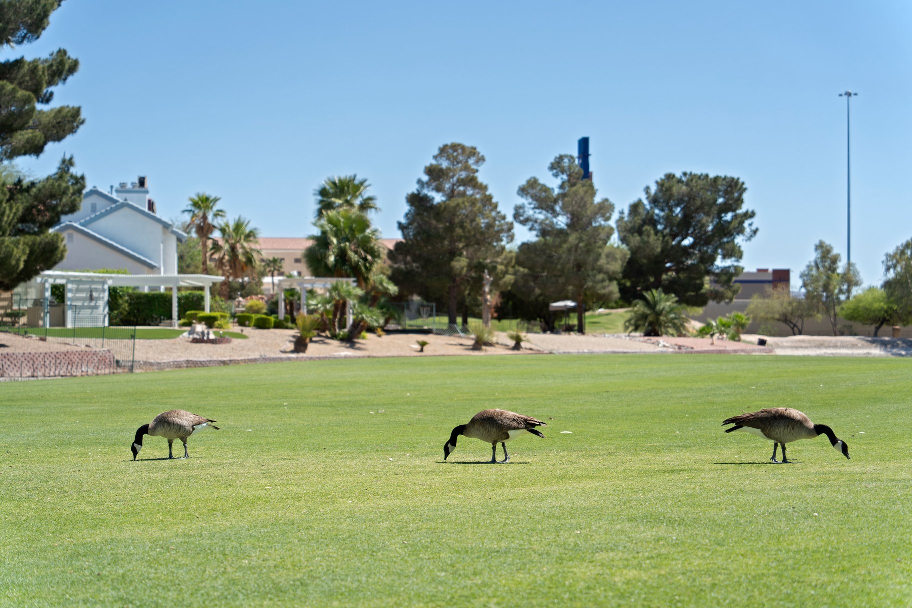  New to Market - 物件實景