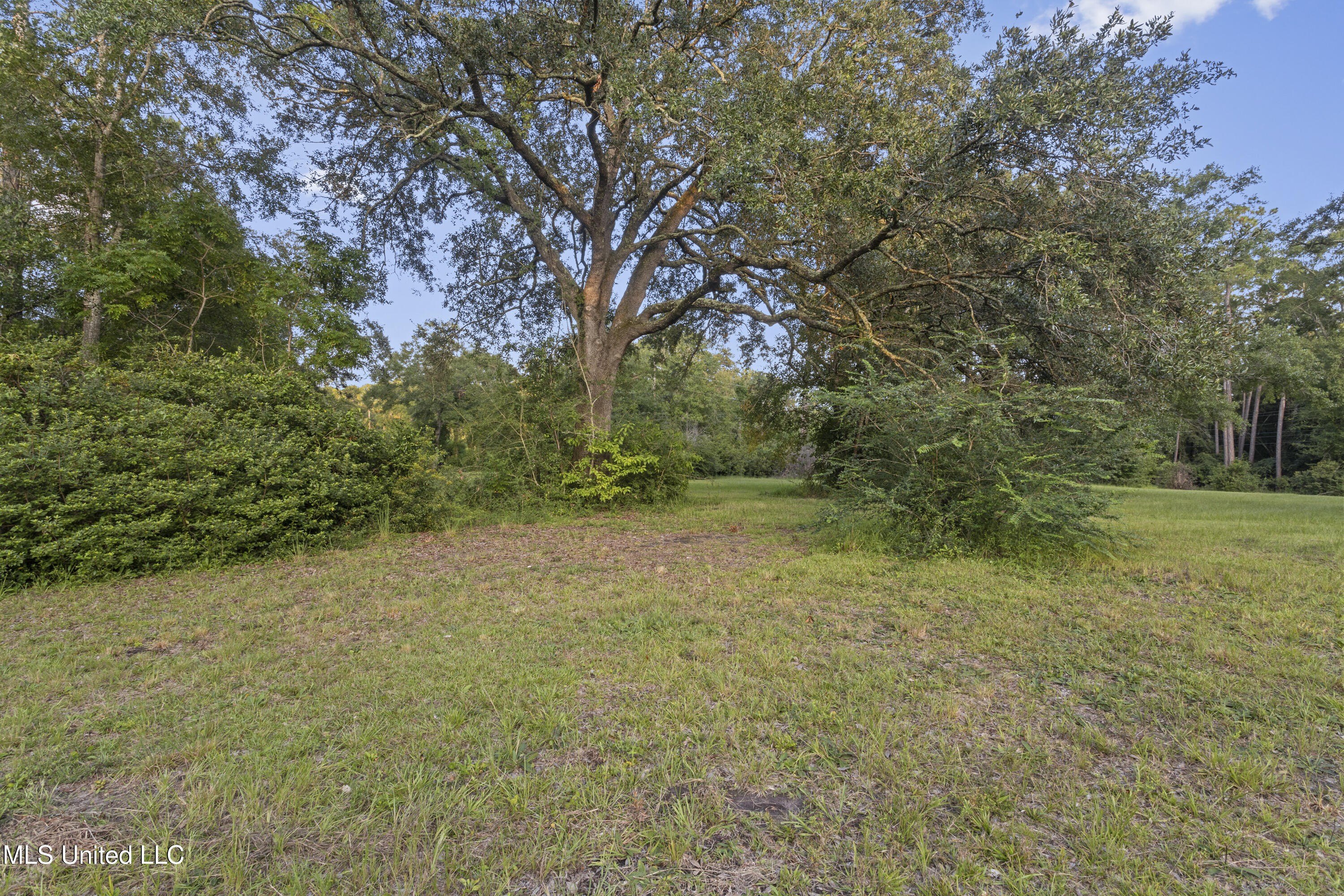 Ocean Springs, Mississippi, 39564, United States, ,Land,For Sale,1978678