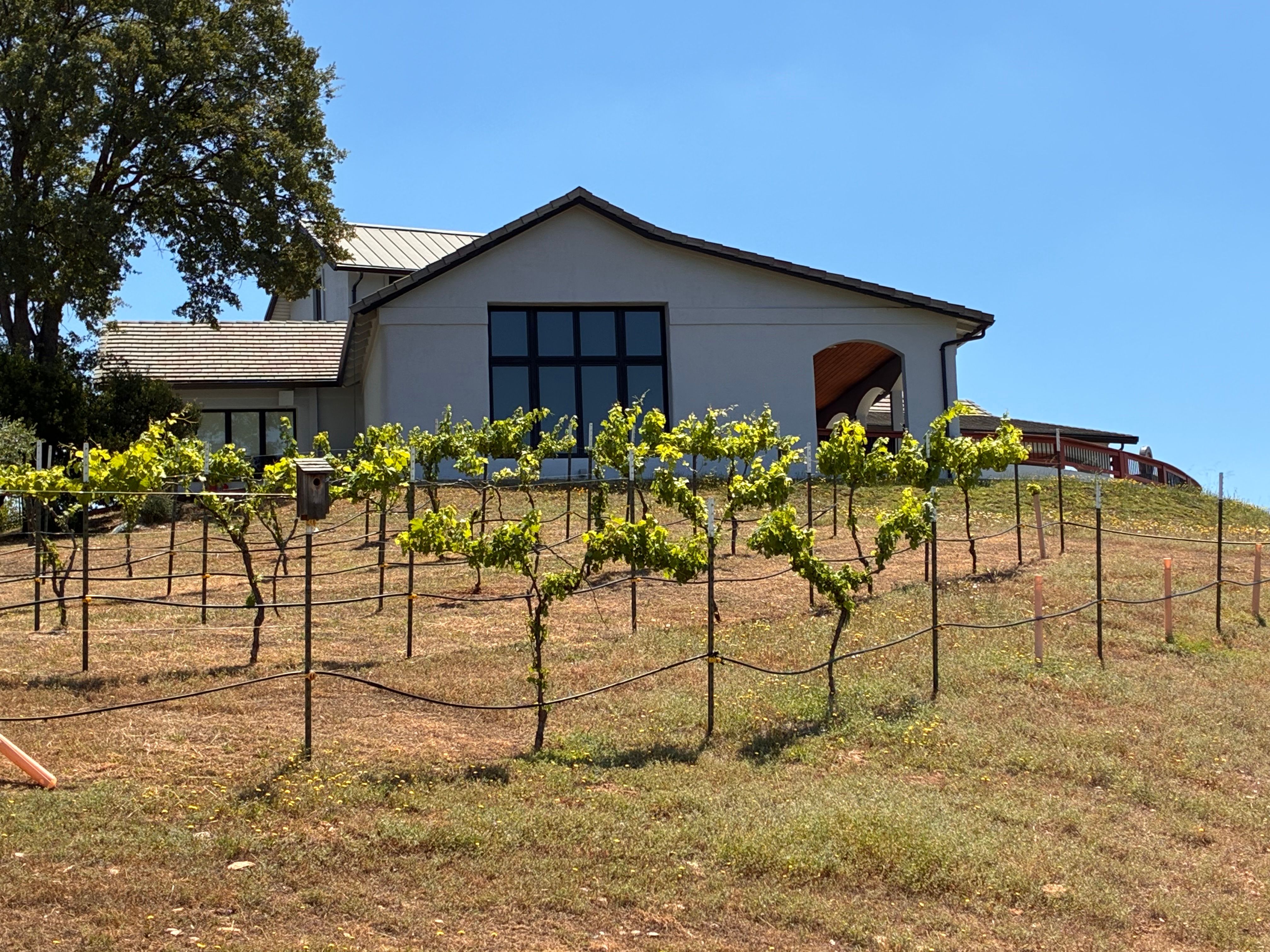  15070 Willow Creek Road, Plymouth, CA 95669 - 物件實景