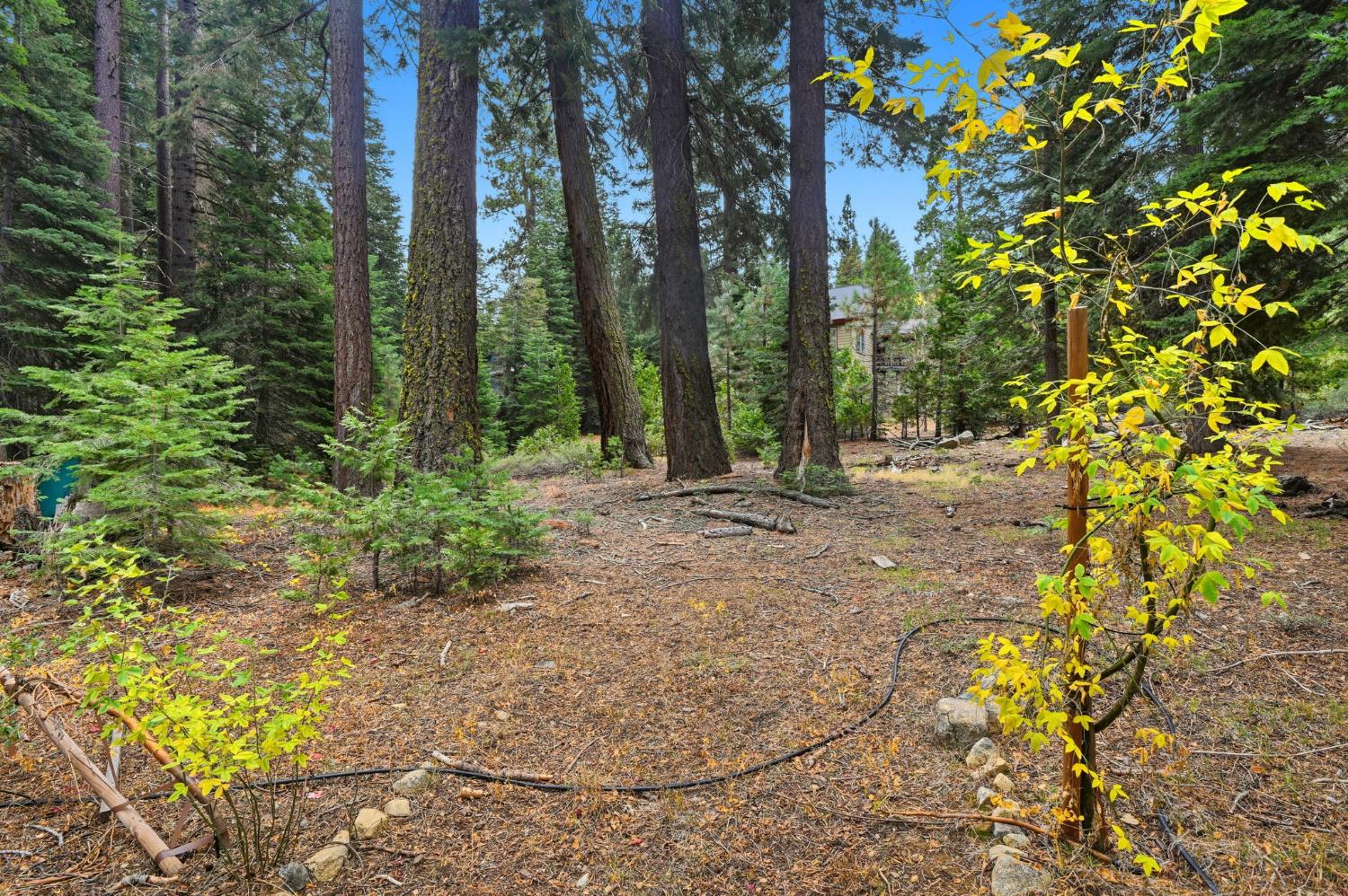 Tahoma, California, 96142, United States, 4 Bedrooms Bedrooms, ,2 BathroomsBathrooms,Residential,For Sale,2003437