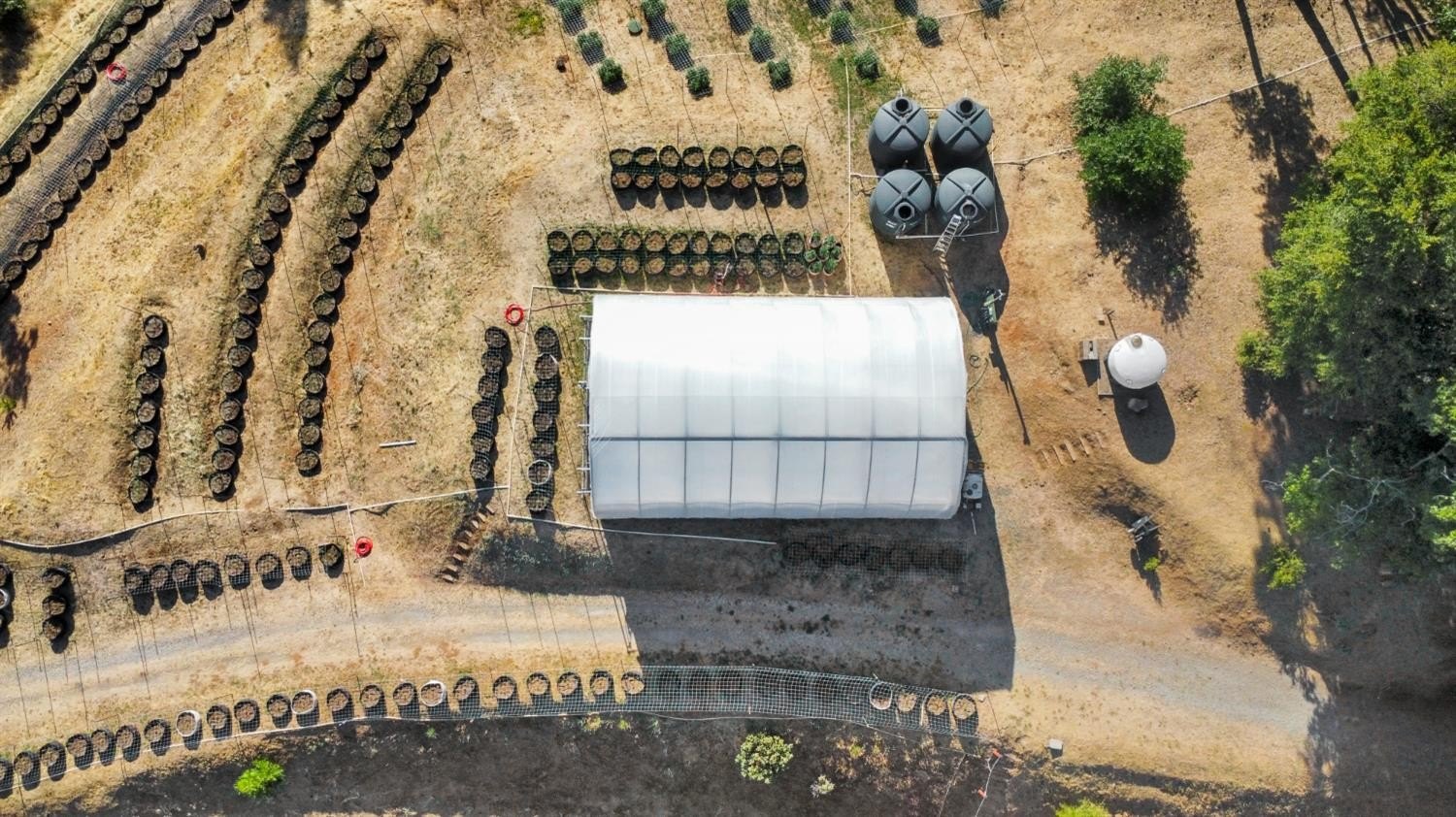 Mountain Ranch, California, 95246, United States, ,Land,For Sale,1981446